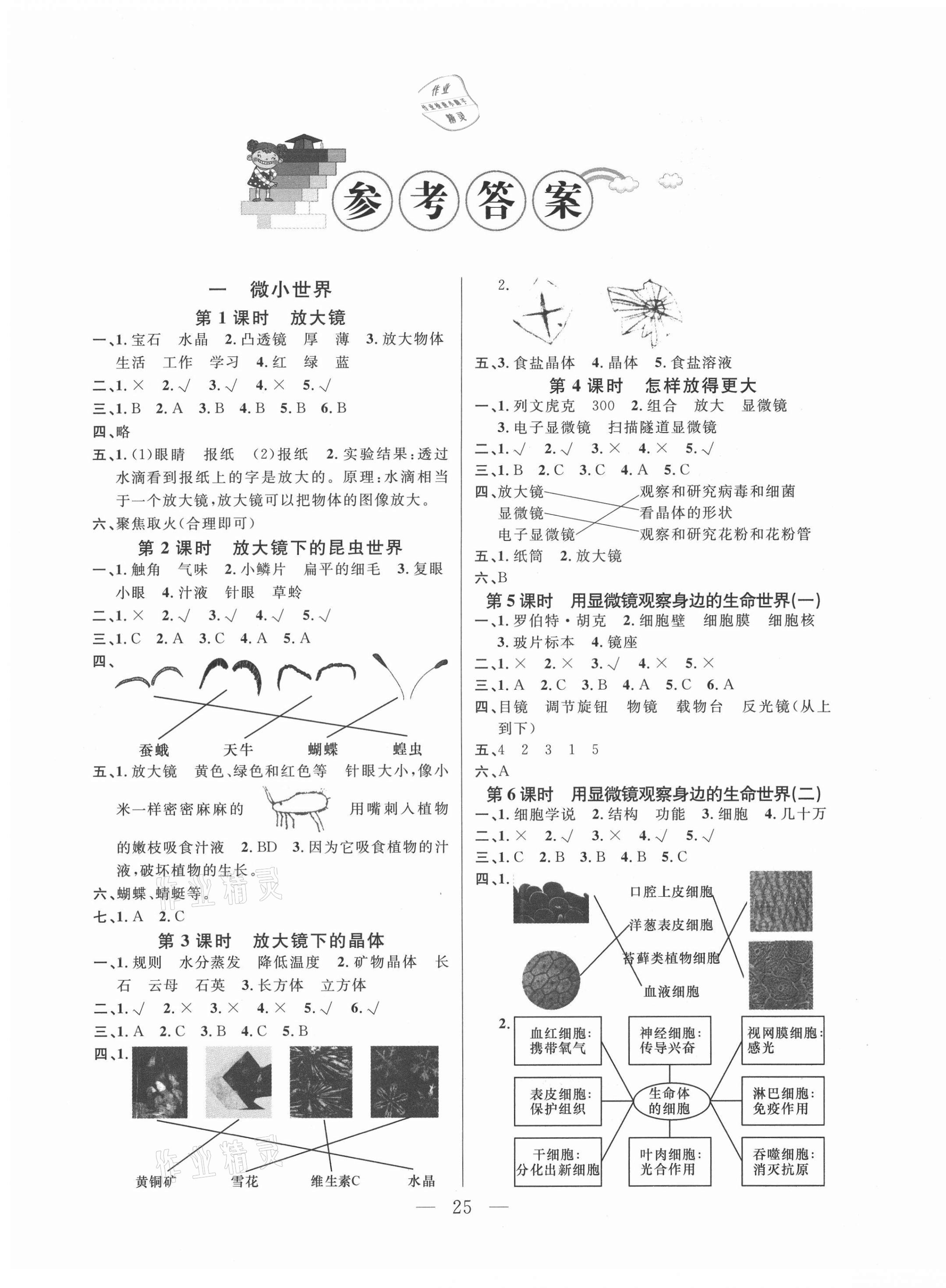 2021年陽光作業(yè)本課時(shí)天天練六年級科學(xué)下冊教科版 參考答案第1頁