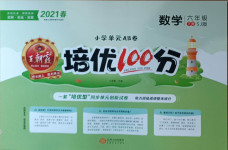 2021年王朝霞培优100分六年级数学下册苏教版