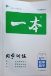 2021年一本同步訓練八年級初中數(shù)學下冊人教版