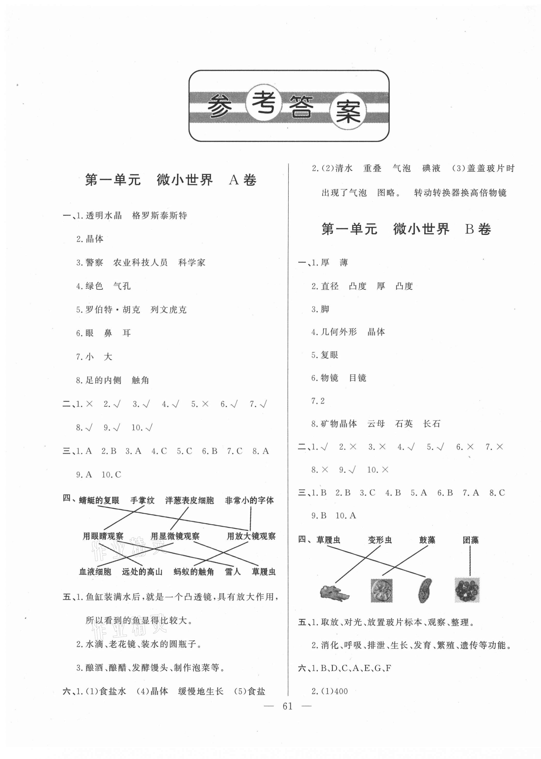 2021年單元測試卷六年級科學下冊青島版山東文藝出版社 第1頁