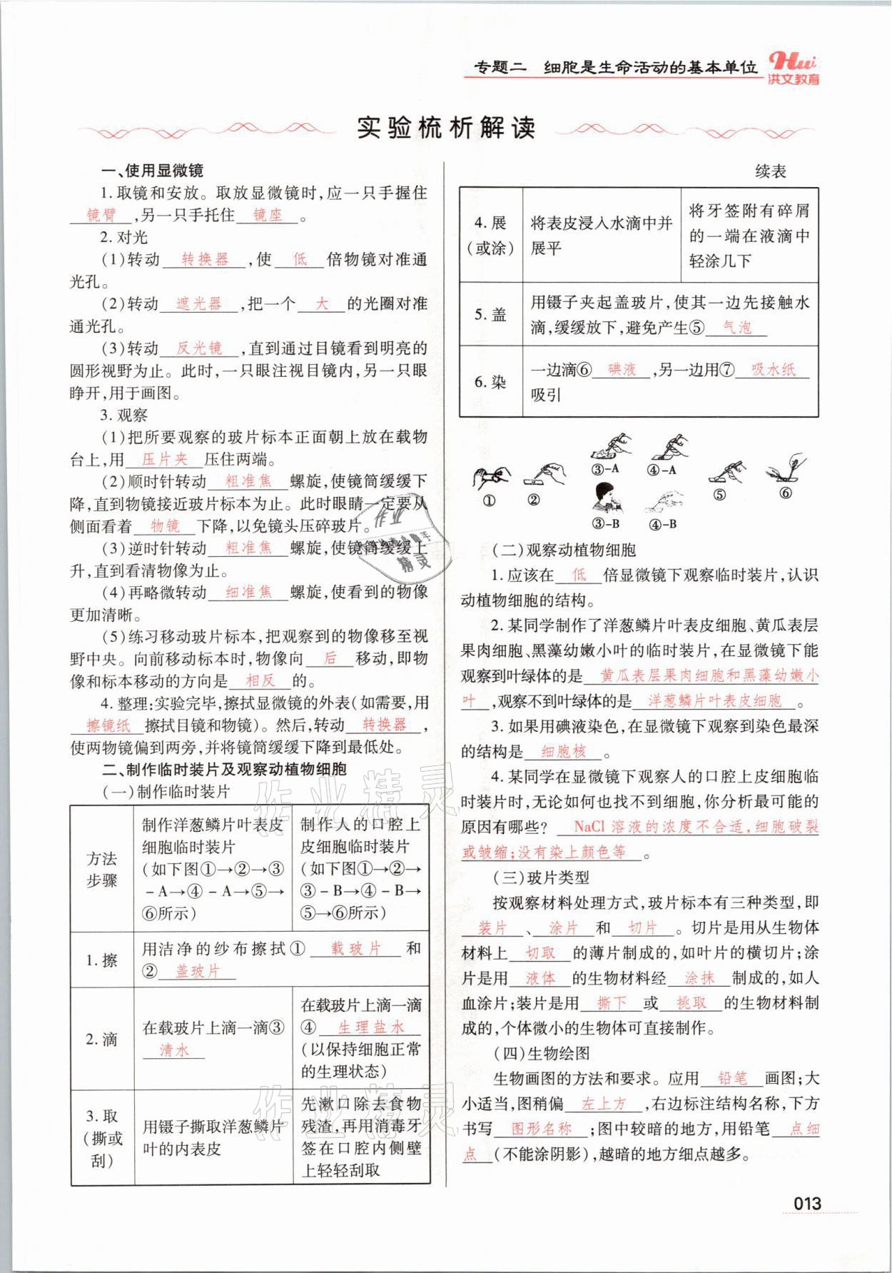 2021年洪文教育最新中考生物河南專版 參考答案第13頁