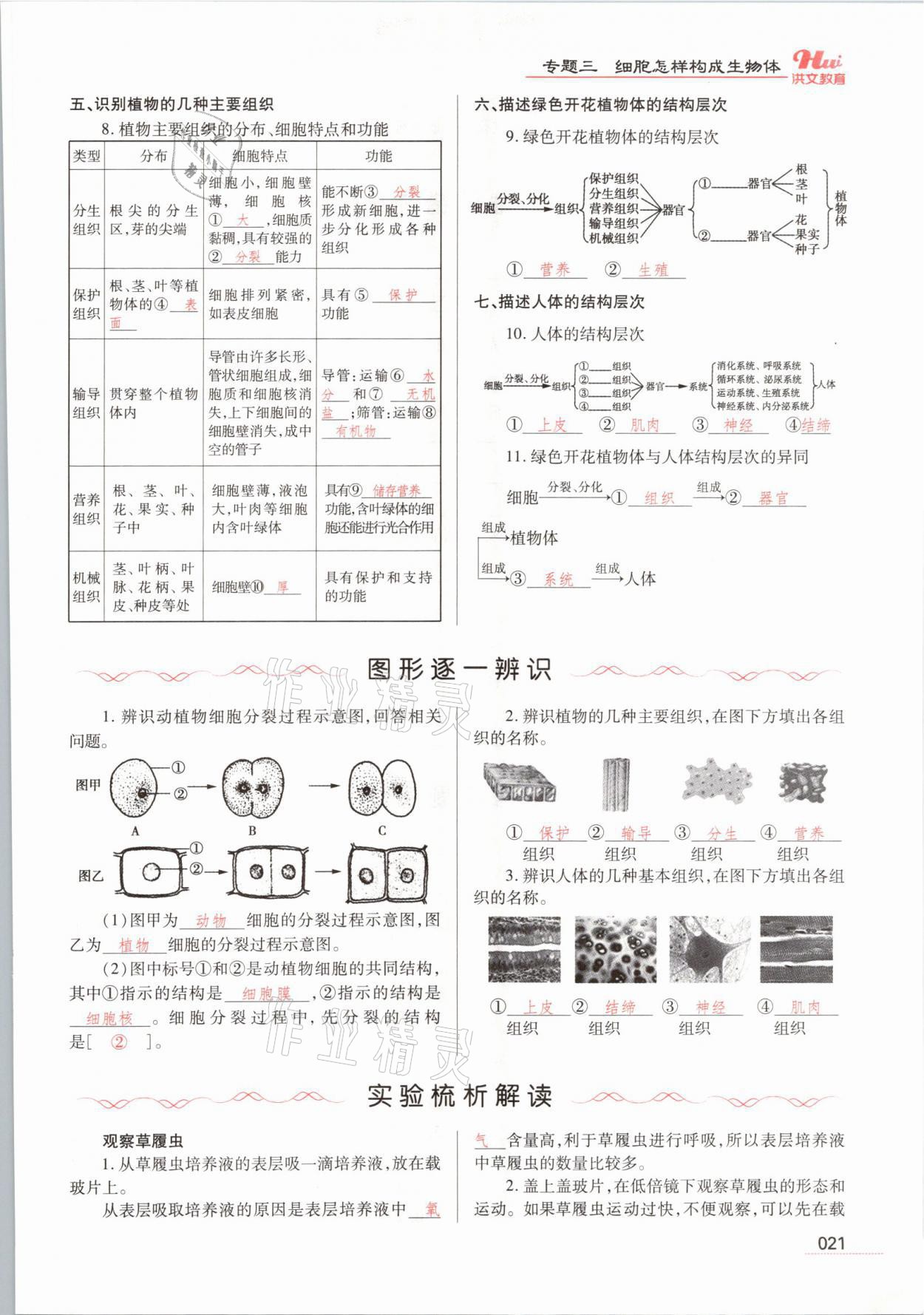 2021年洪文教育最新中考生物河南專版 參考答案第21頁