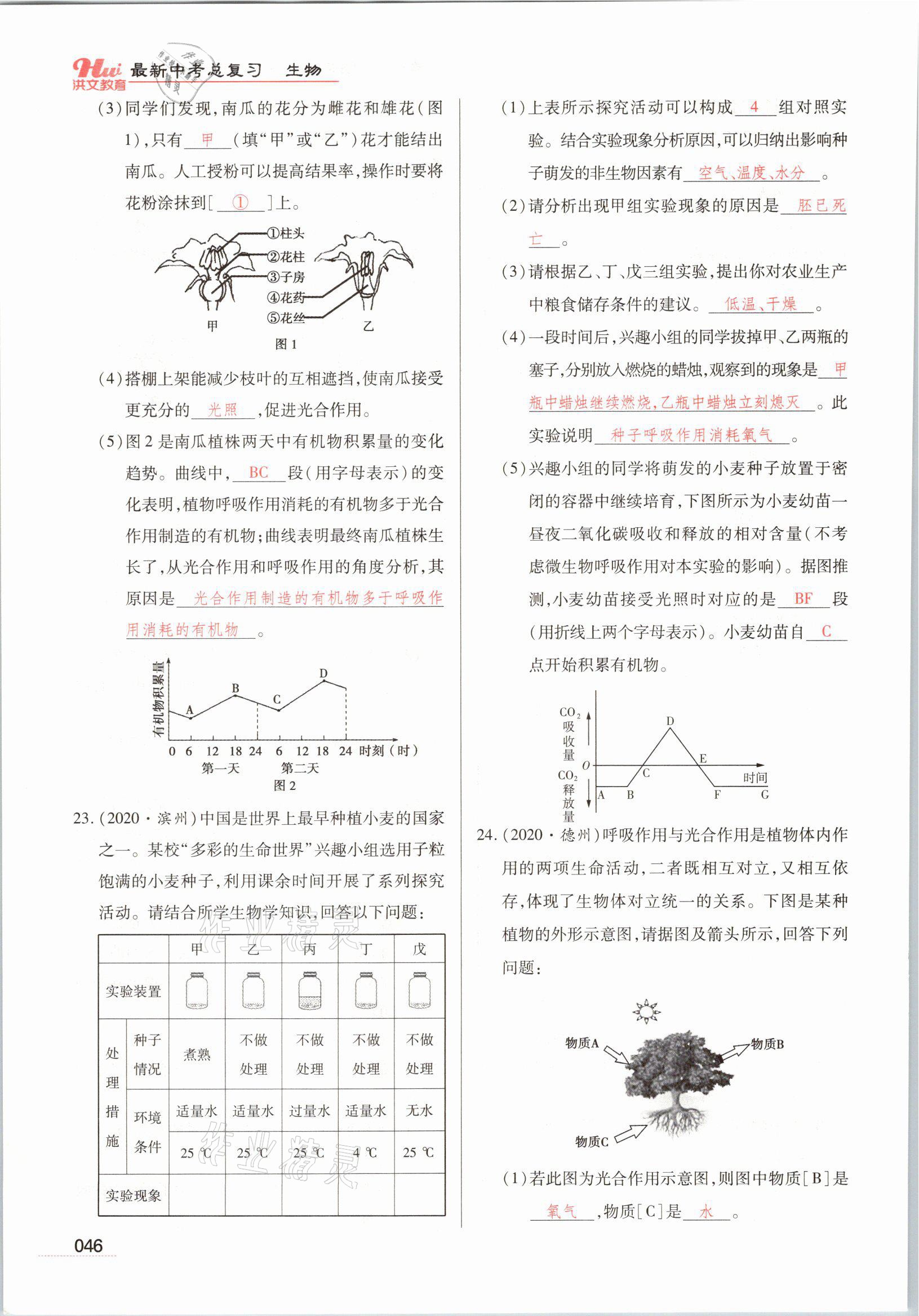 2021年洪文教育最新中考生物河南專版 參考答案第46頁