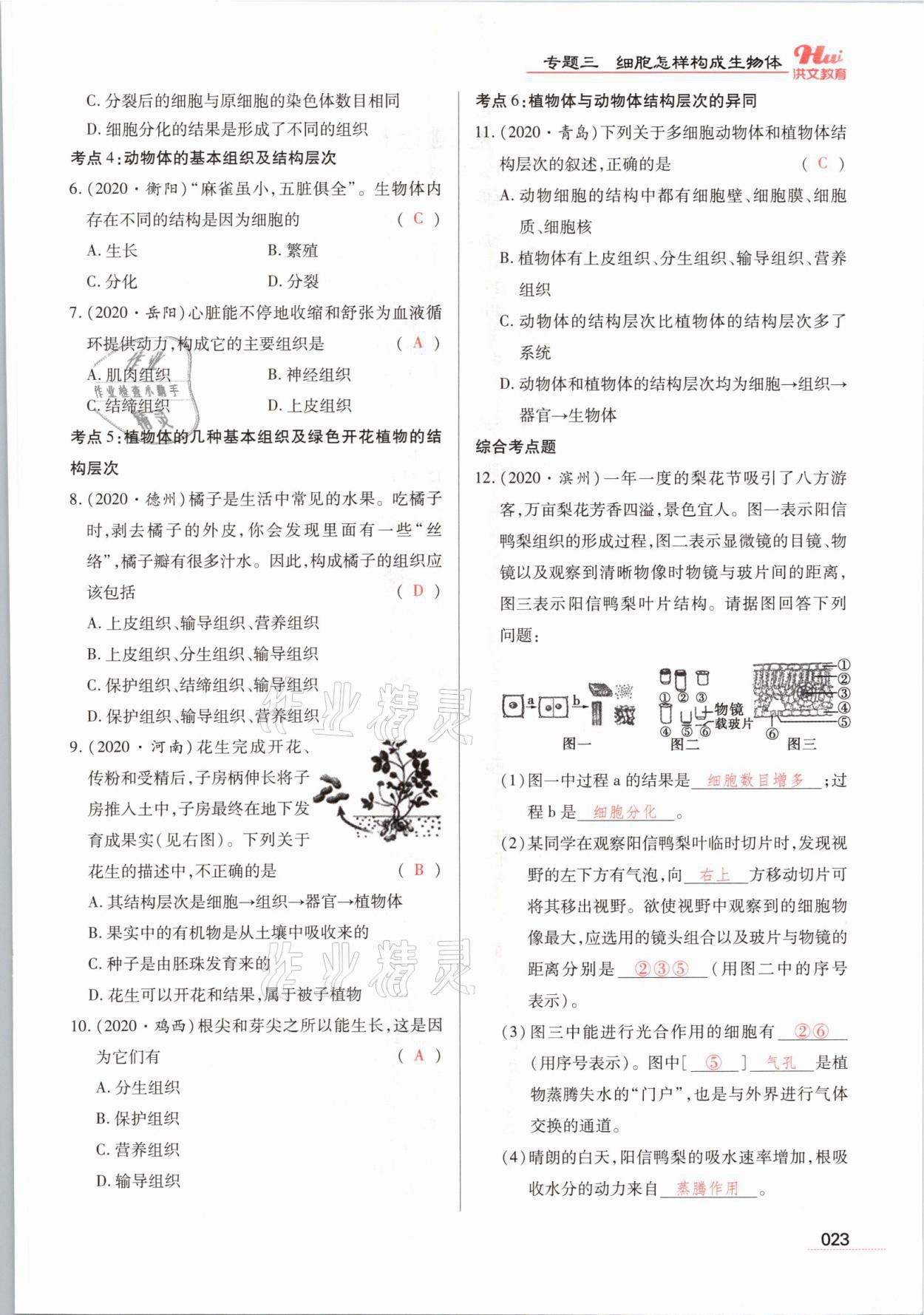 2021年洪文教育最新中考生物河南專版 參考答案第23頁