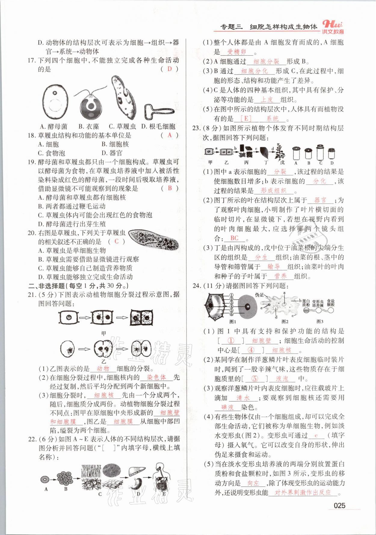 2021年洪文教育最新中考生物河南專版 參考答案第25頁