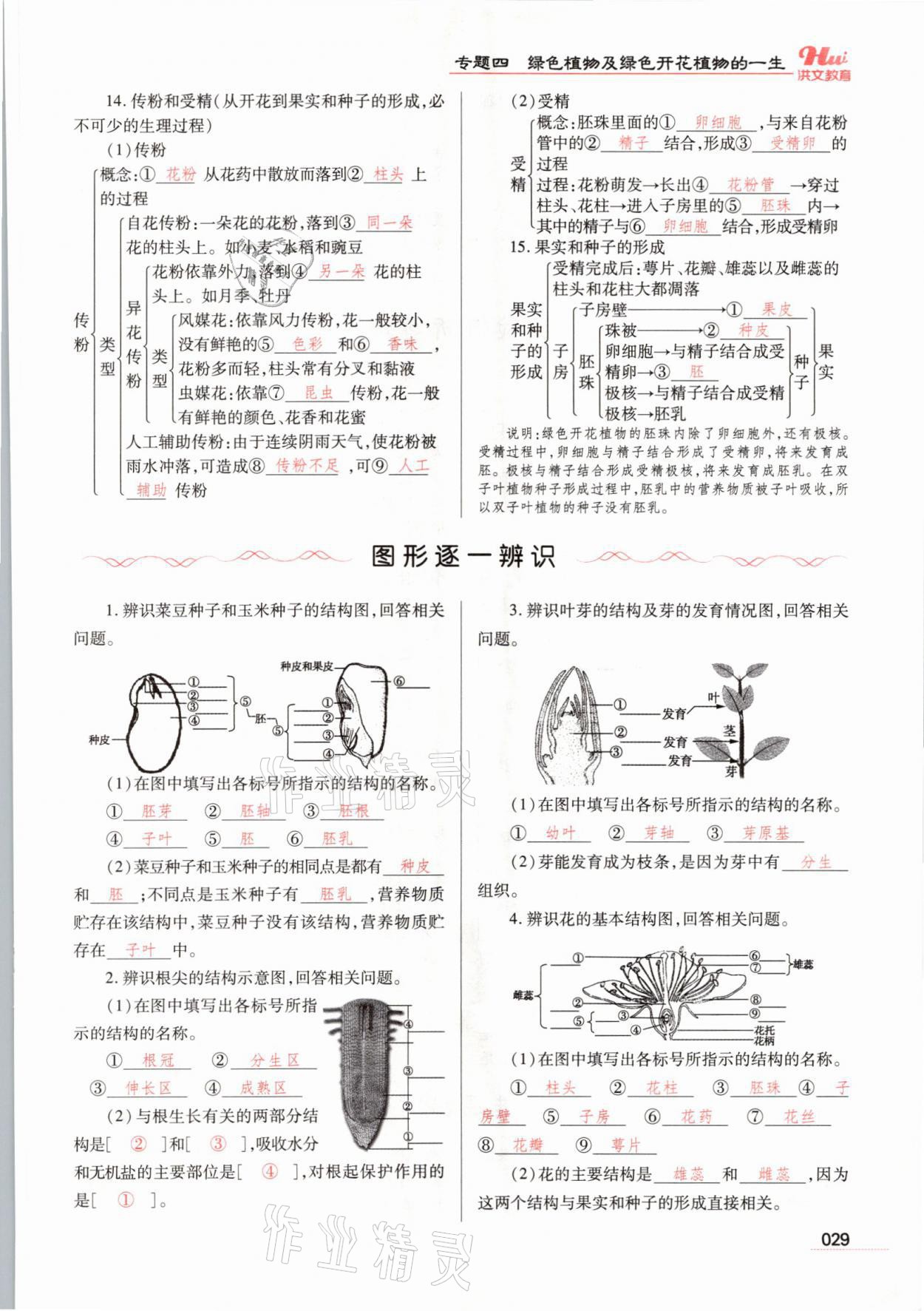 2021年洪文教育最新中考生物河南专版 参考答案第29页