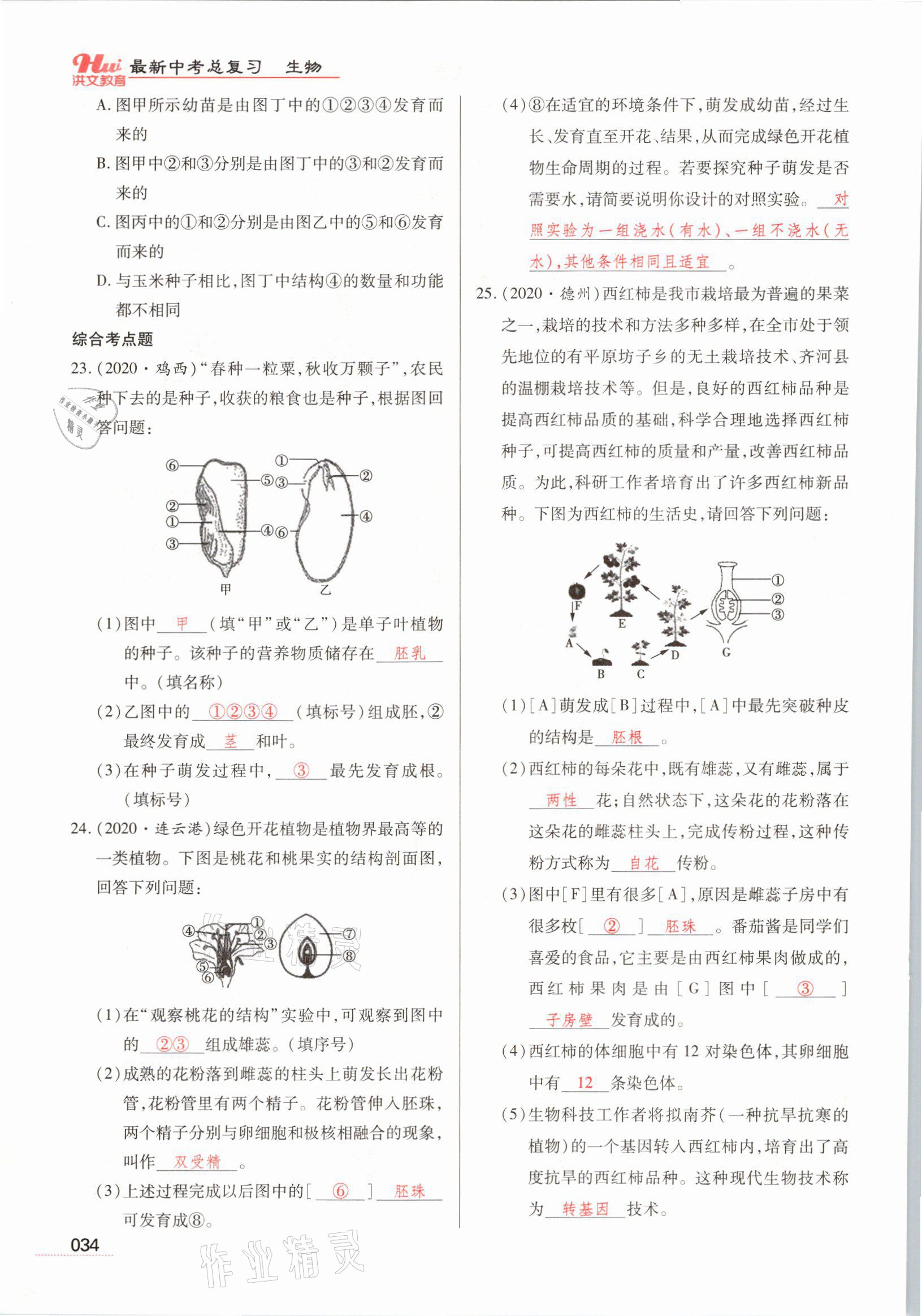 2021年洪文教育最新中考生物河南專版 參考答案第34頁