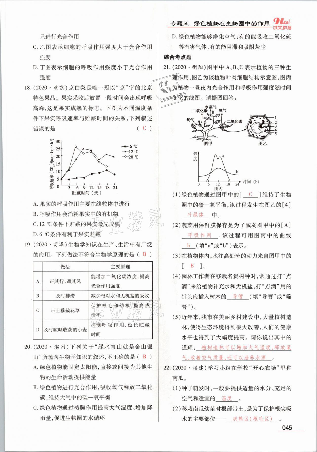 2021年洪文教育最新中考生物河南专版 参考答案第45页