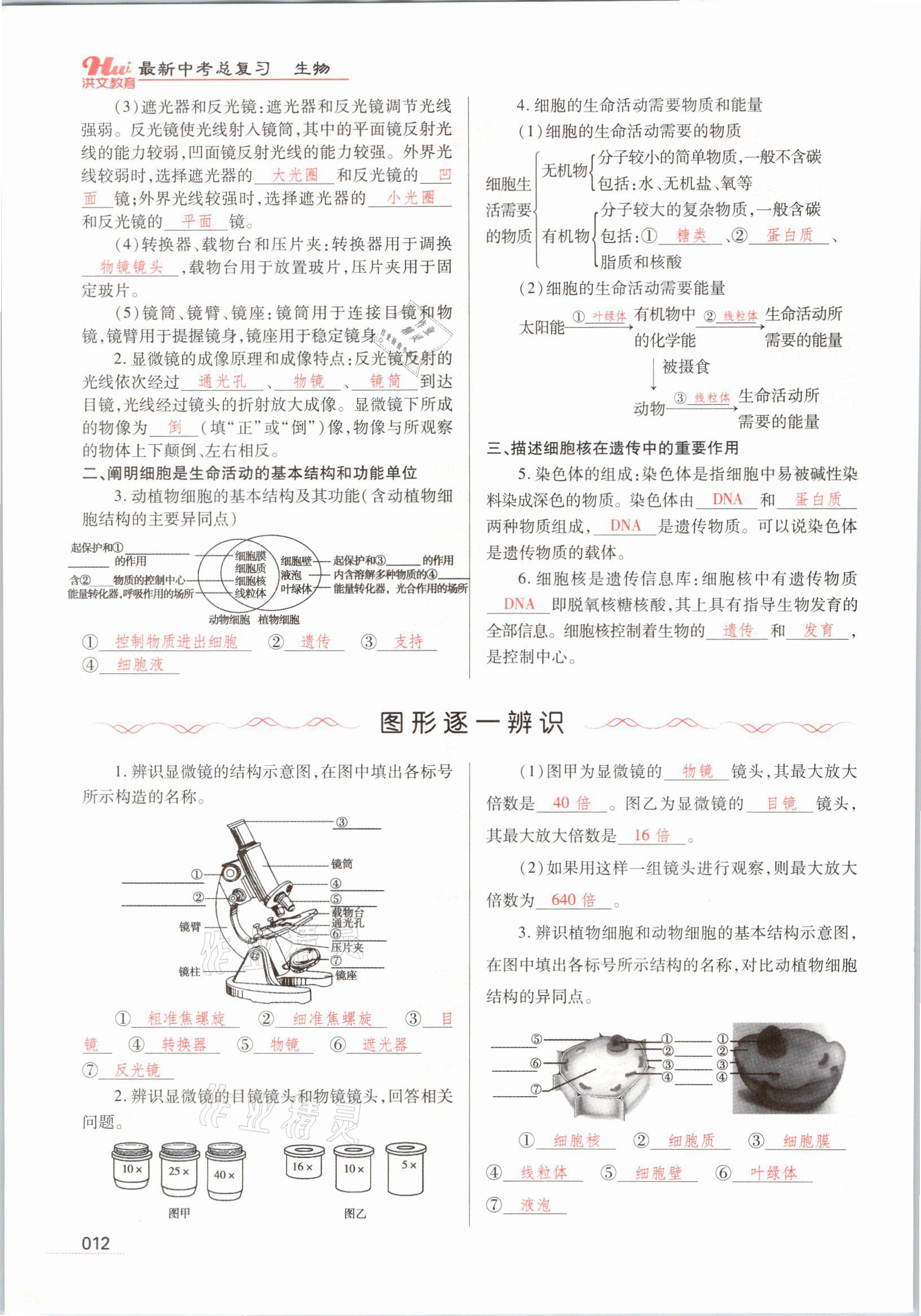 2021年洪文教育最新中考生物河南专版 参考答案第12页