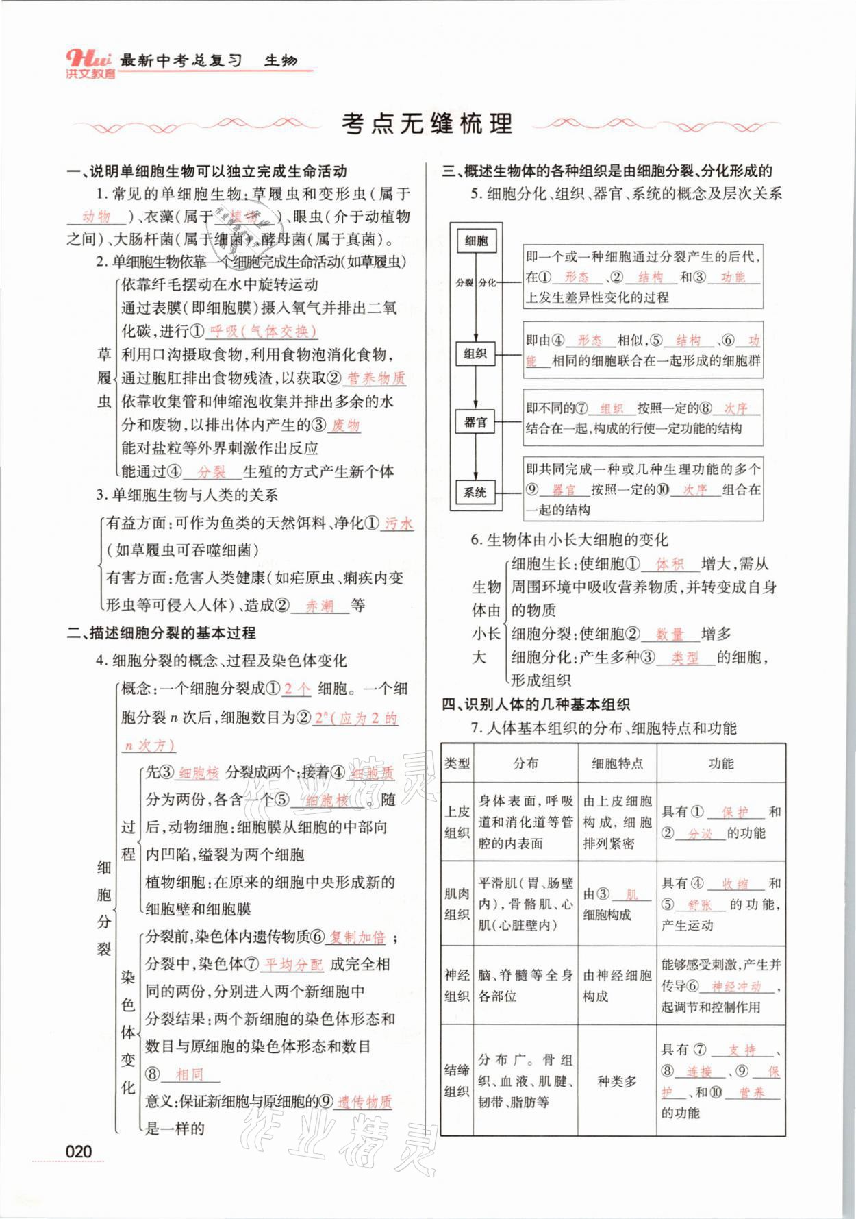 2021年洪文教育最新中考生物河南专版 参考答案第20页