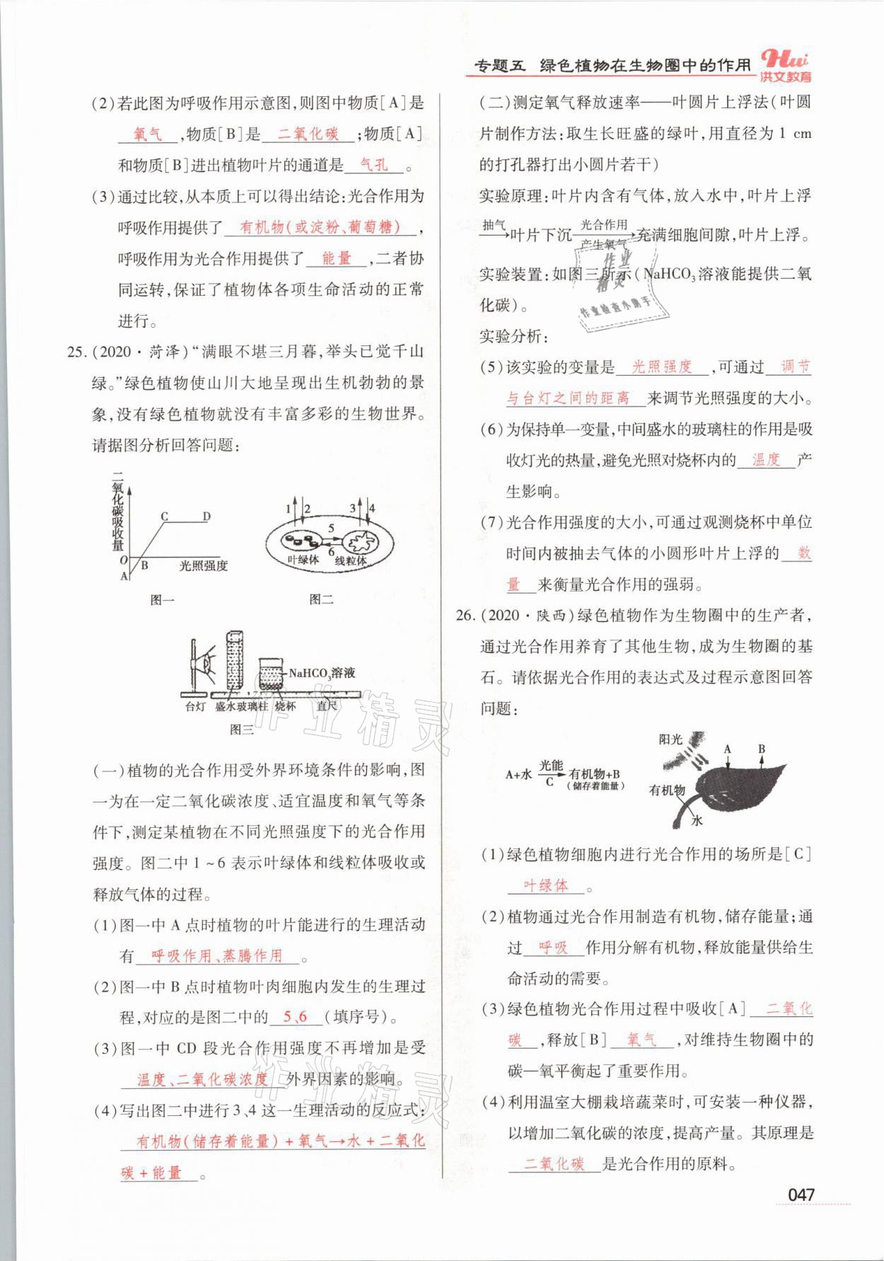 2021年洪文教育最新中考生物河南專版 參考答案第47頁