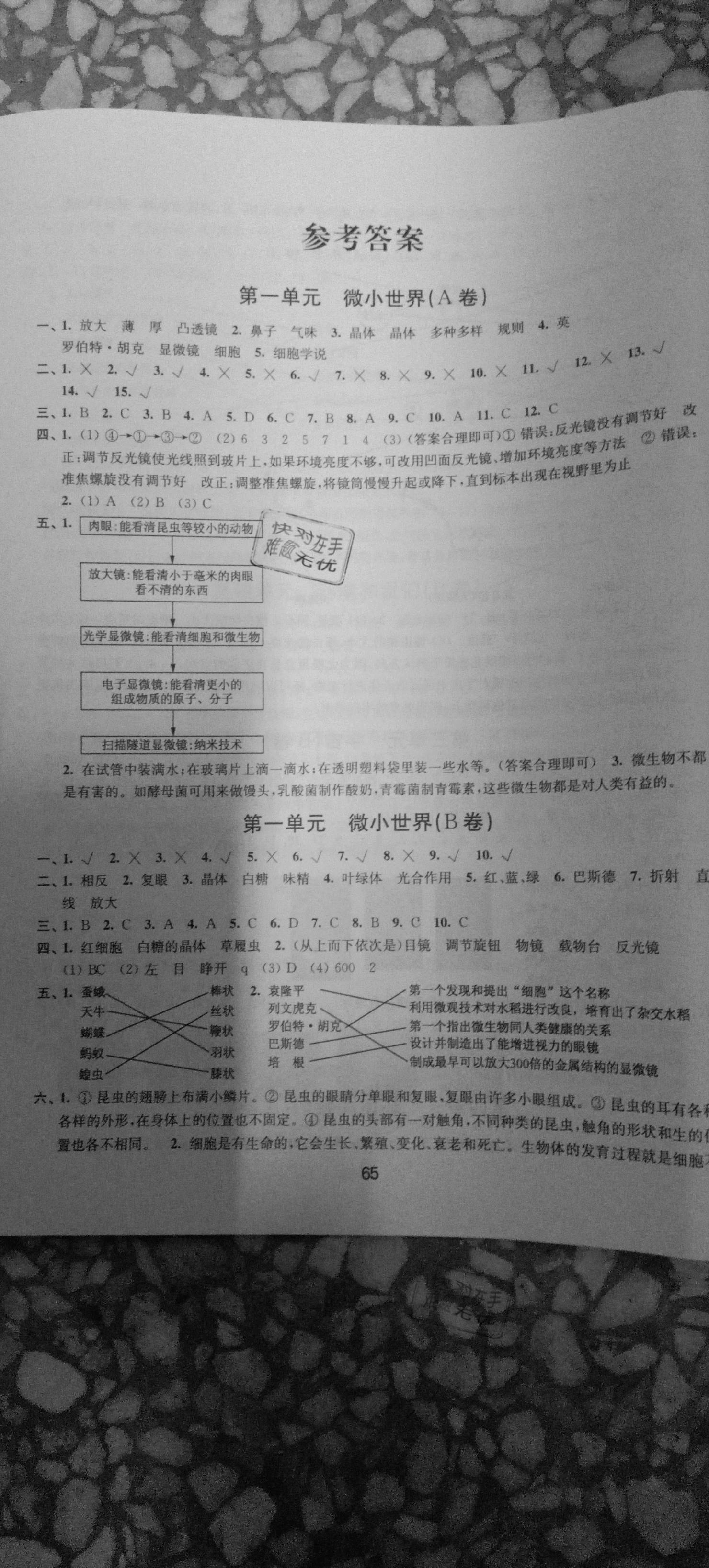 2021年探究科學(xué)六年級(jí)科學(xué)下冊(cè)教科版 第1頁(yè)