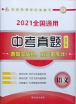 2021年中考真題語文