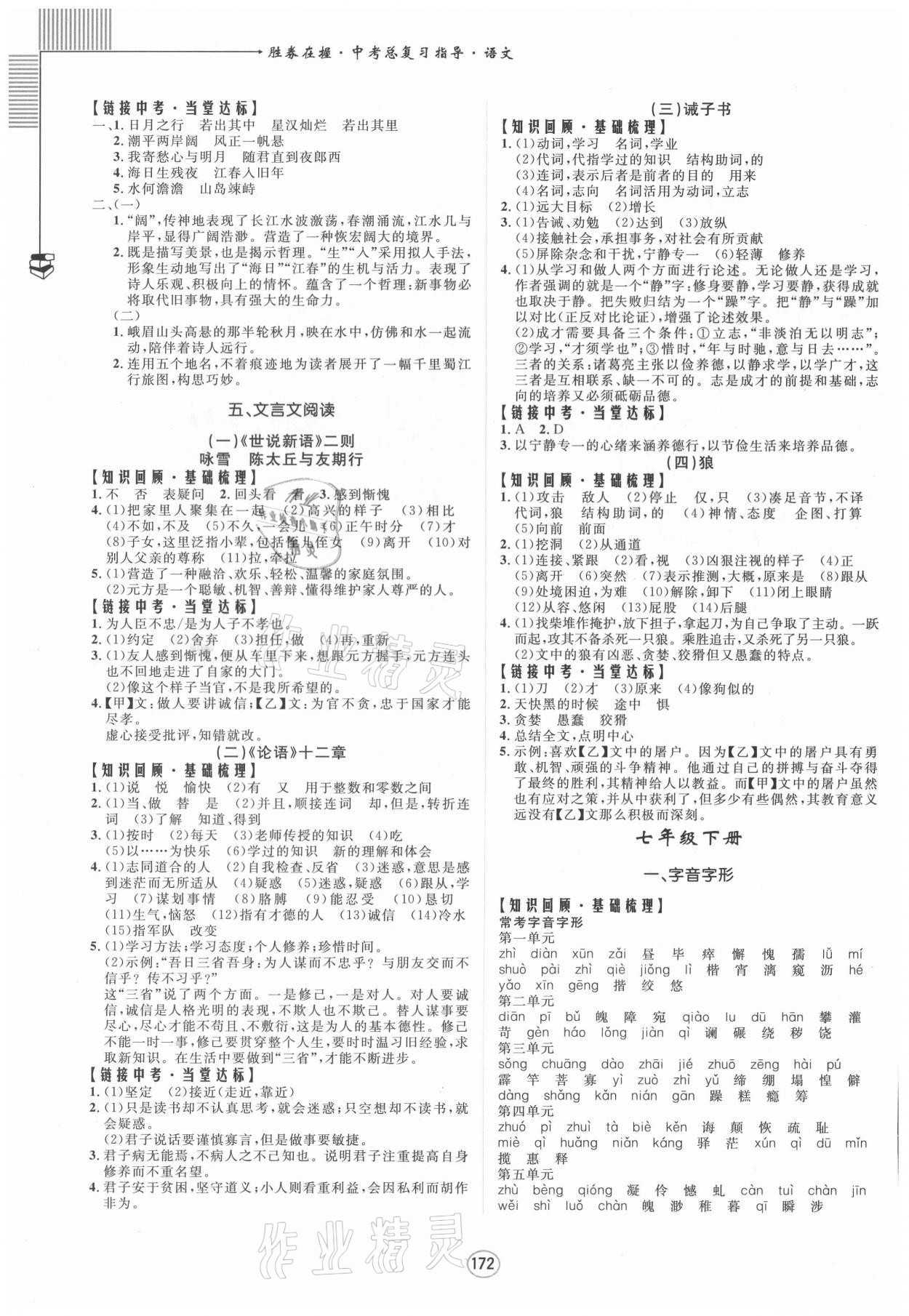 2021年勝券在握中考總復(fù)習(xí)指導(dǎo)語(yǔ)文梧州玉林專版 第2頁(yè)