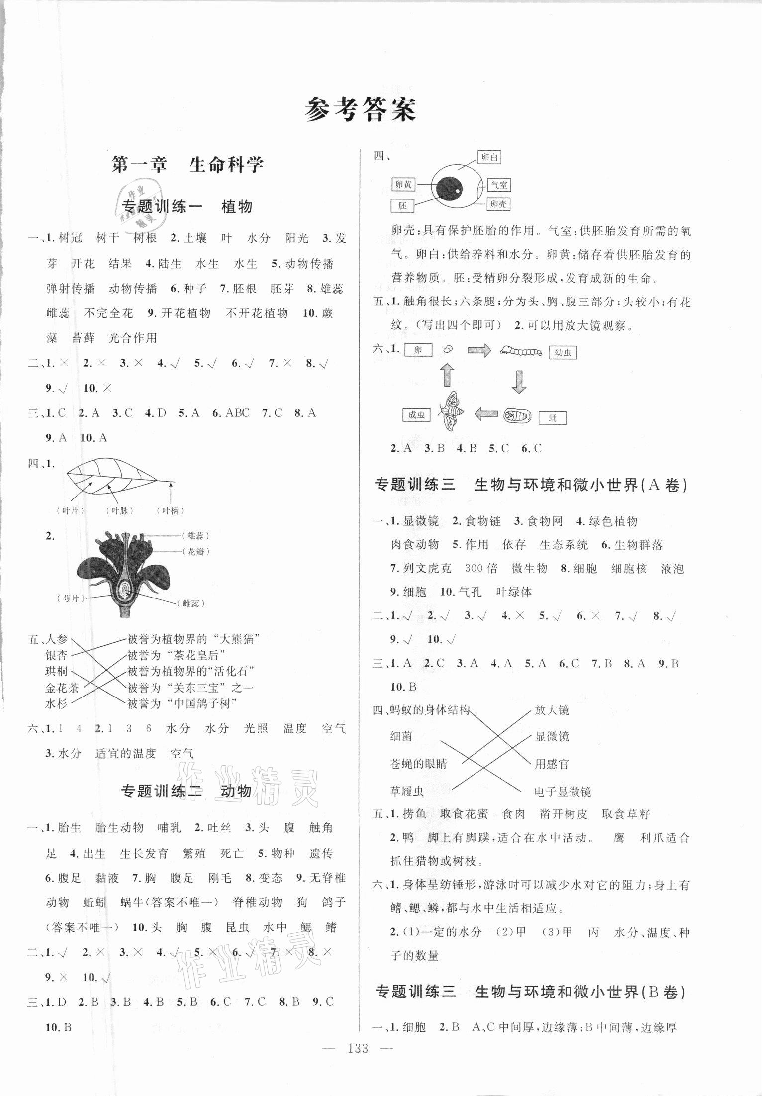 2021年小學(xué)畢業(yè)班總復(fù)習(xí)六年級科學(xué)寧波出版社 第1頁