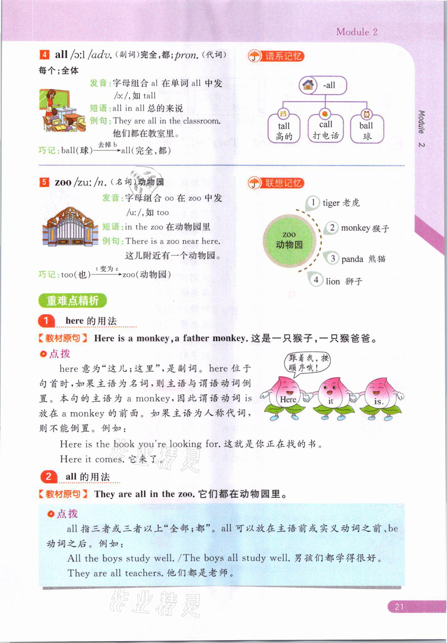 2021年教材课本三年级英语下册外研版&nbsp;参考答案第21页