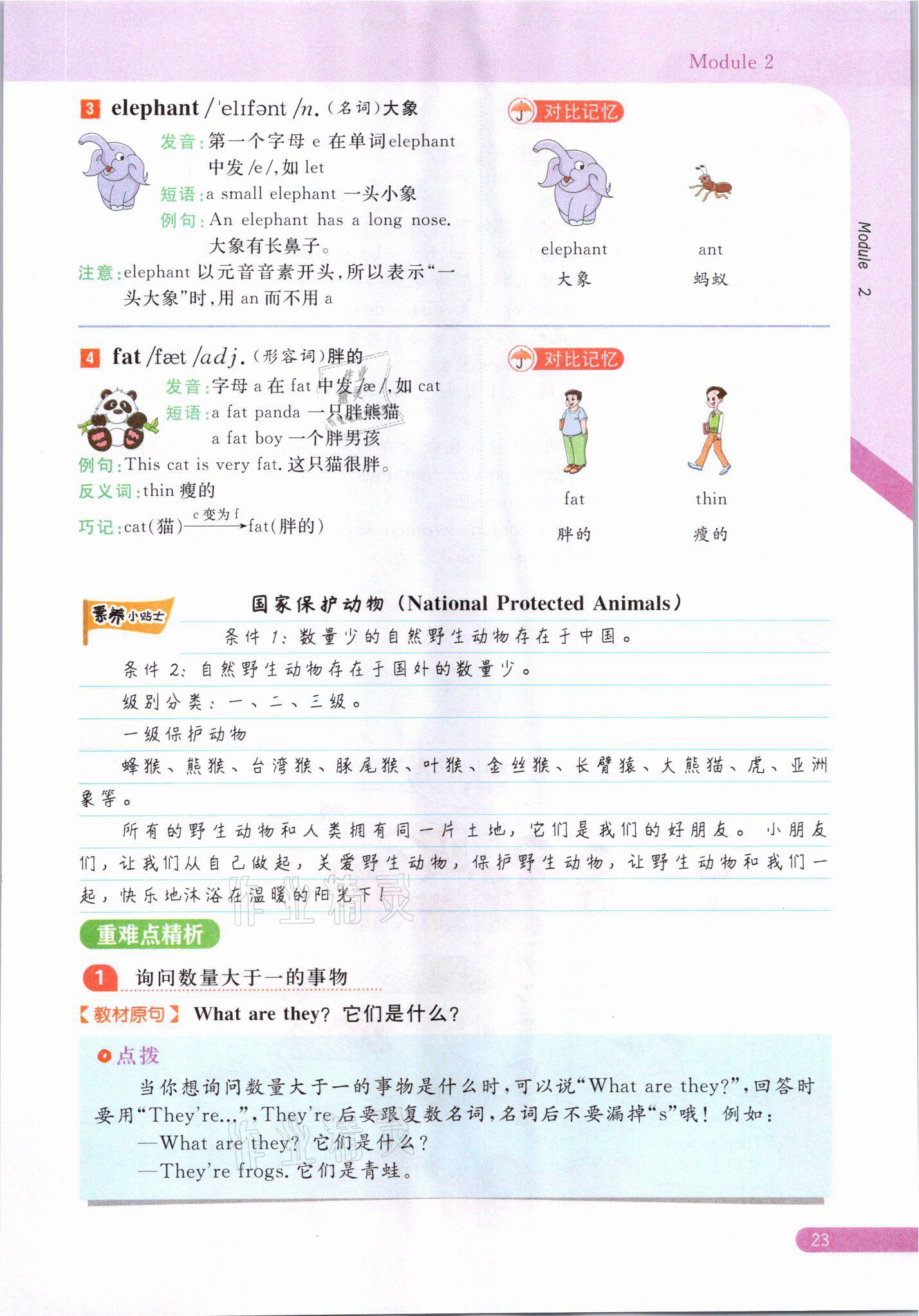 2021年教材课本三年级英语下册外研版&nbsp;参考答案第23页