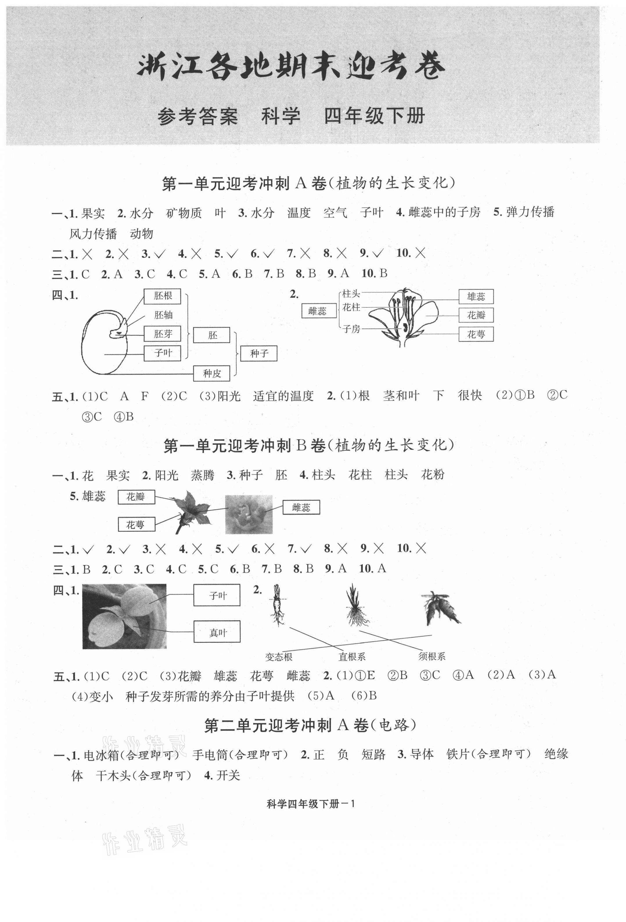 2021年浙江各地期末迎考卷四年級(jí)科學(xué)下冊(cè)教科版 第1頁(yè)