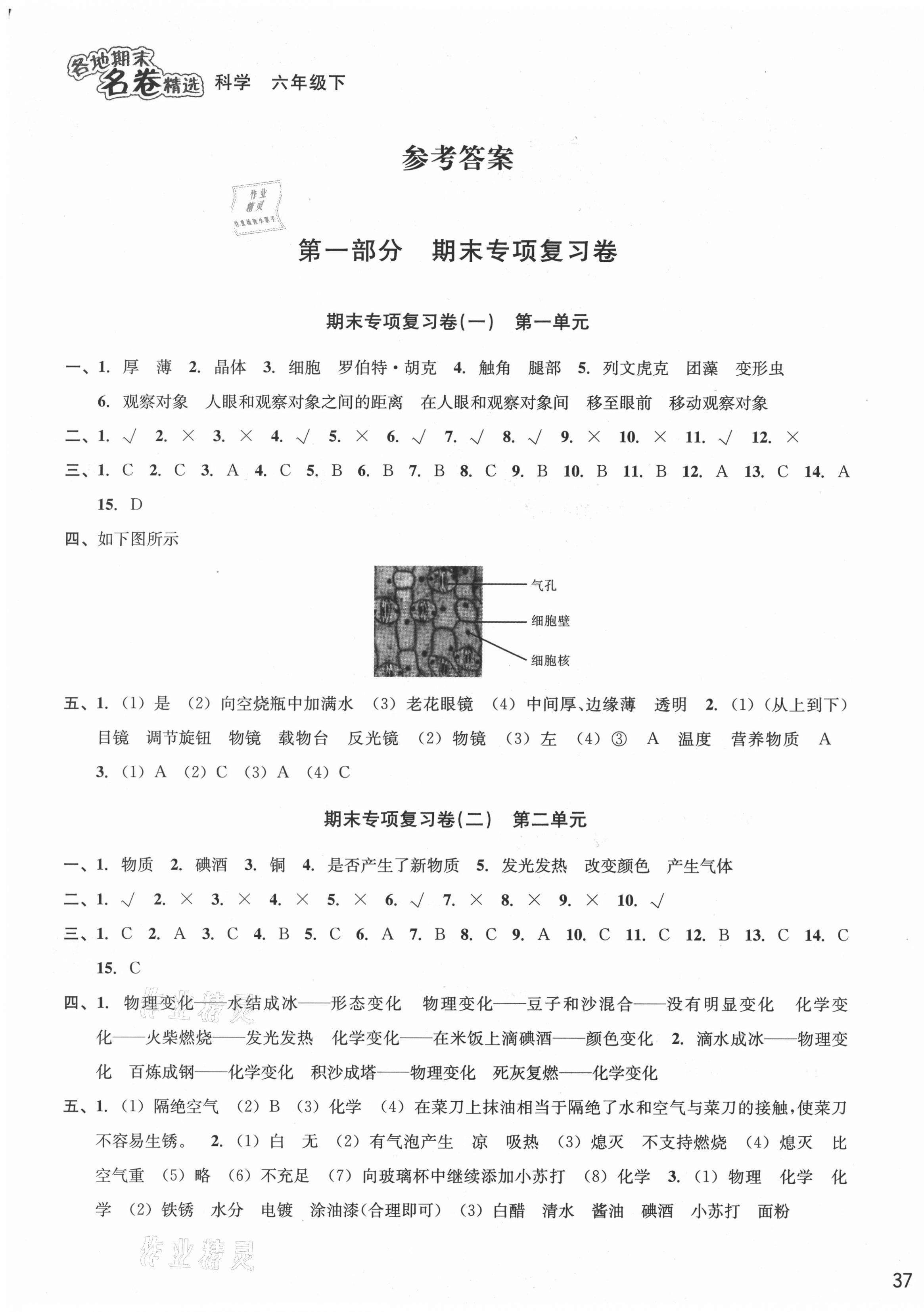 2021年各地期末名卷精選六年級(jí)科學(xué)下冊(cè)教科版 第1頁(yè)