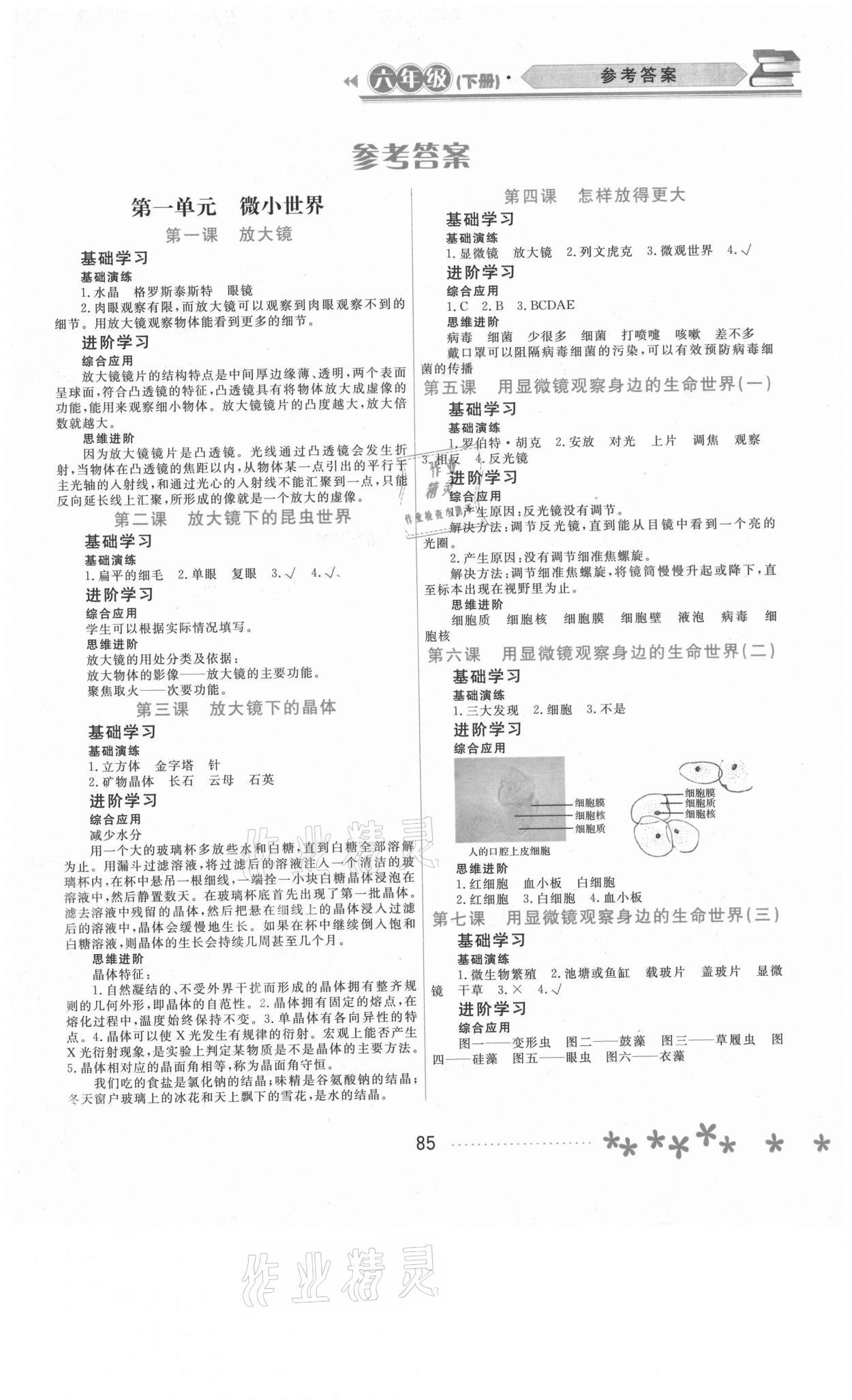 2021年资源与评价六年级科学下册教科版黑龙江教育出版社 第1页