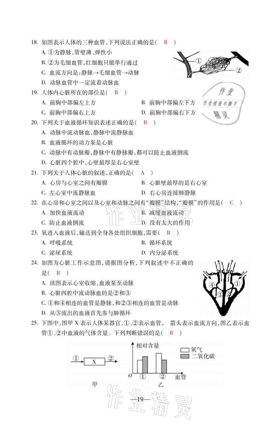 2021年本土卷七年級生物下冊人教版&nbsp;第19頁