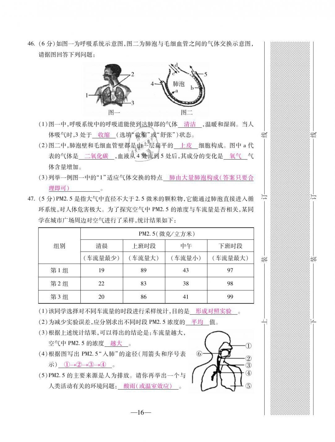 2021年本土卷七年級(jí)生物下冊(cè)人教版&nbsp;第16頁(yè)