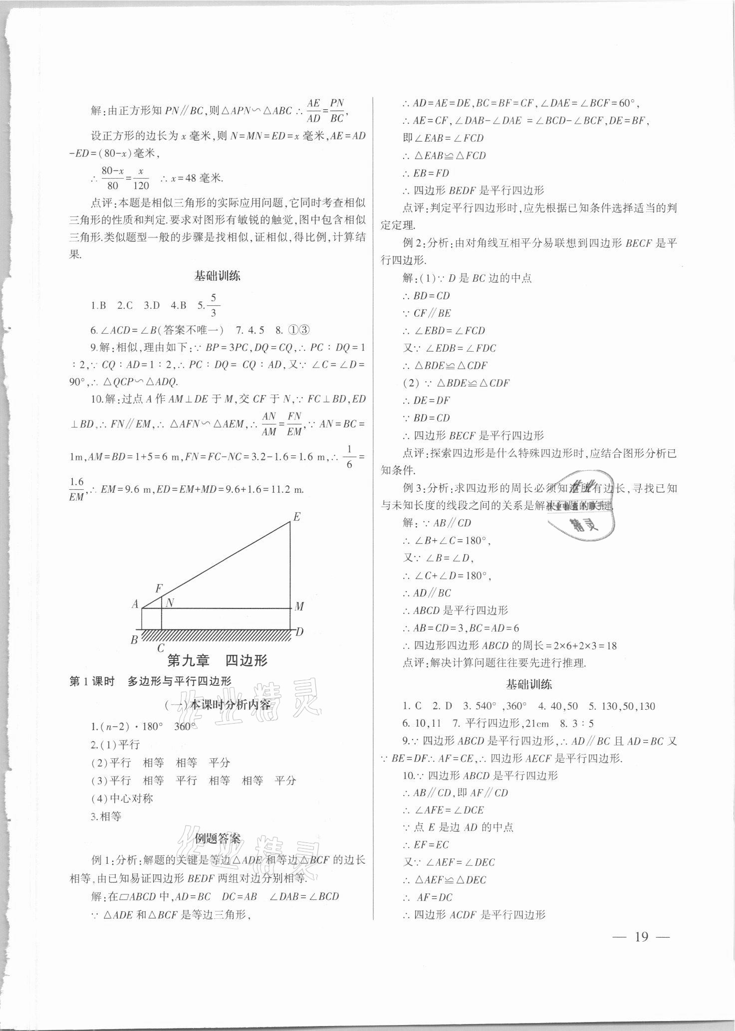 2021年中考總復(fù)習(xí)策略指導(dǎo)數(shù)學(xué)廣州專版&nbsp;參考答案第19頁