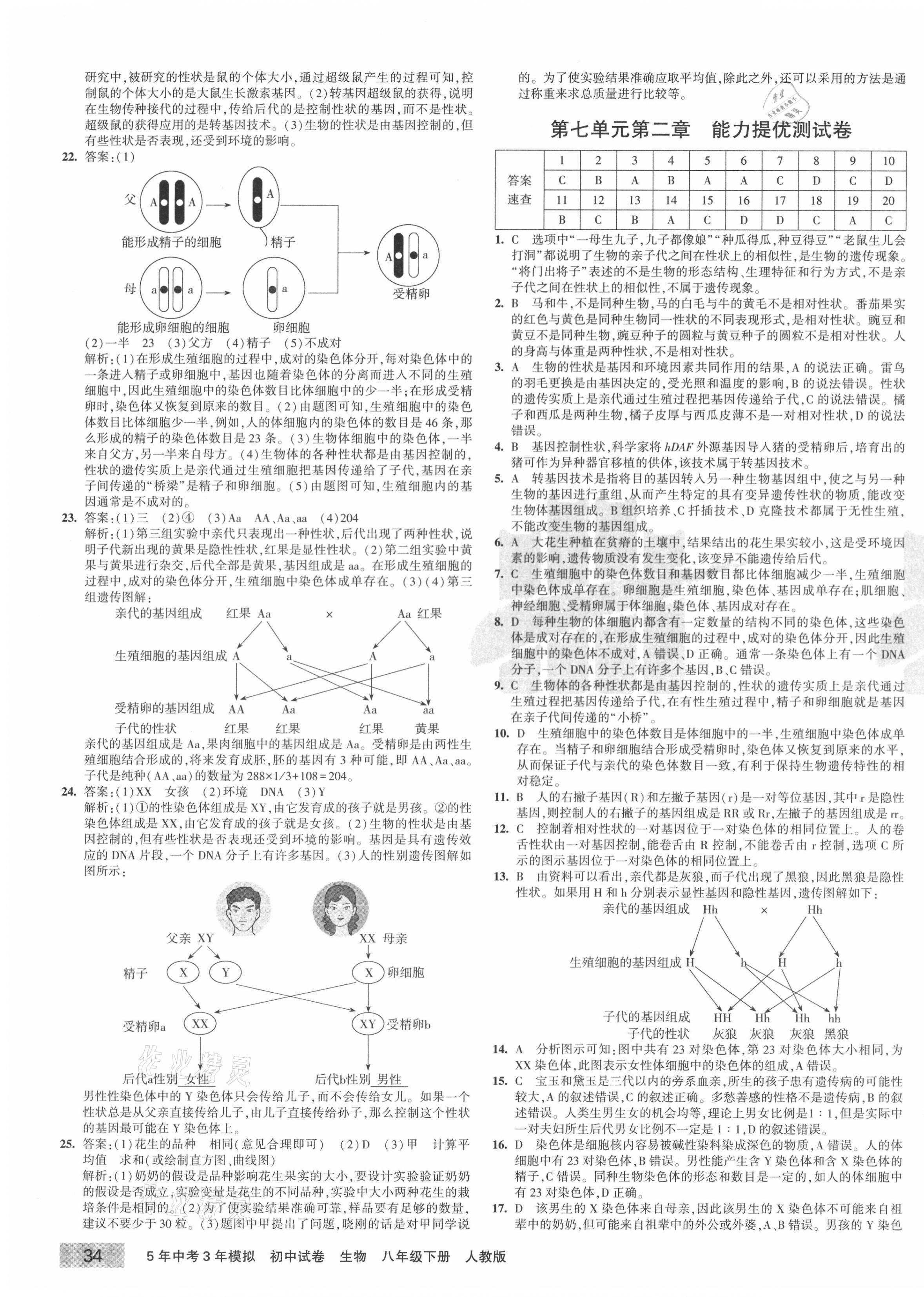 2021年5年中考3年模拟初中试卷八年级生物下册人教版 第3页