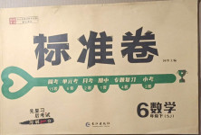 2021年標準卷六年級數學下冊蘇教版長江出版社