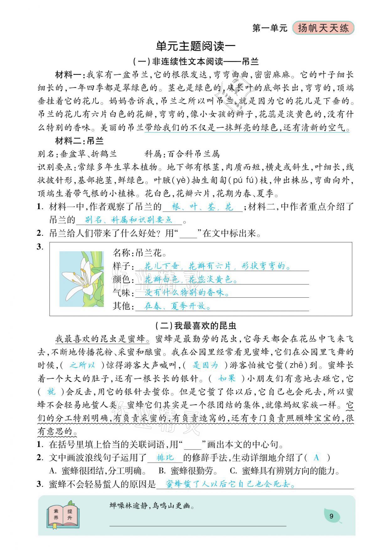 2021年揚帆天天練三年級語文下冊 參考答案第24頁
