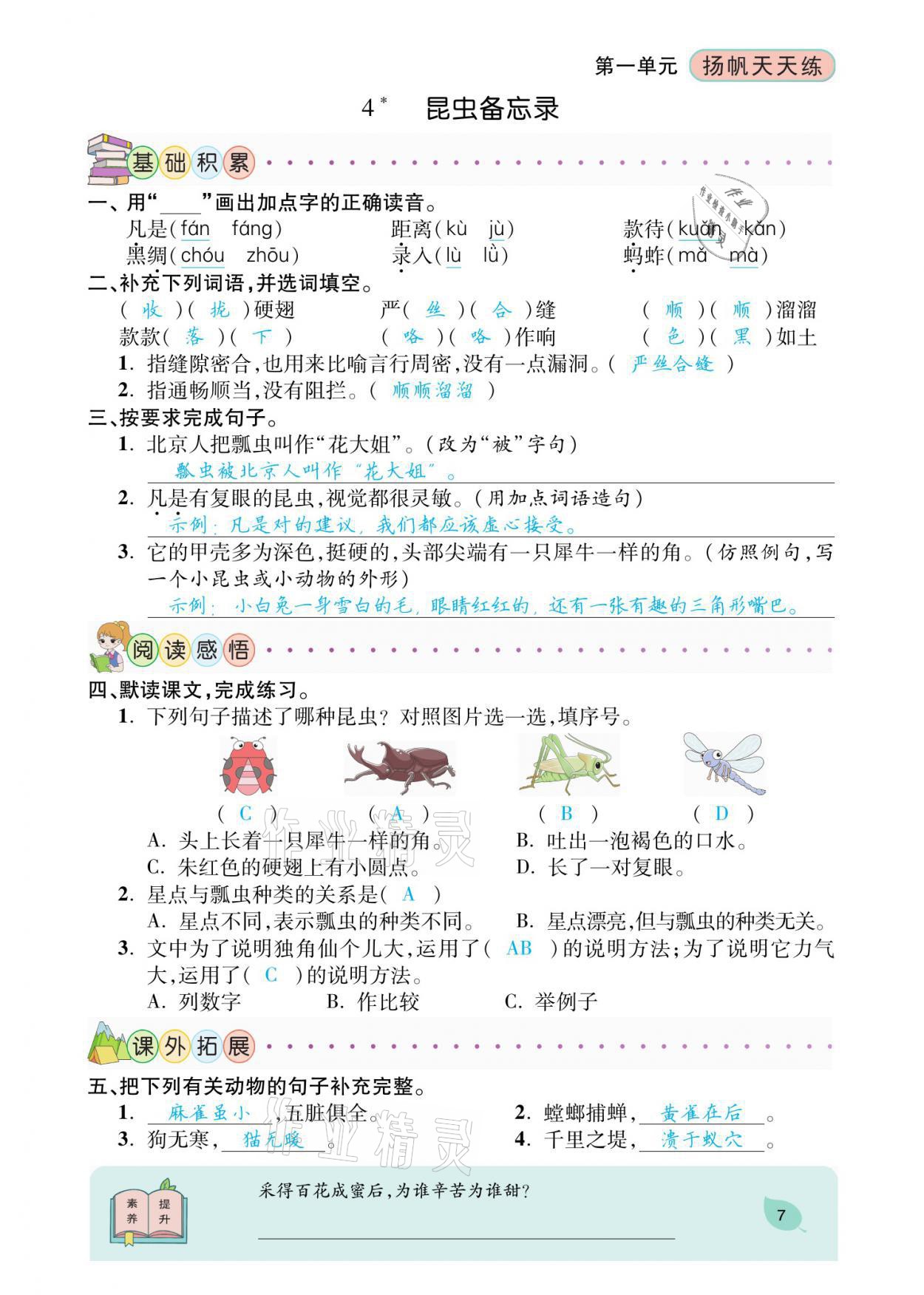 2021年揚帆天天練三年級語文下冊 參考答案第18頁