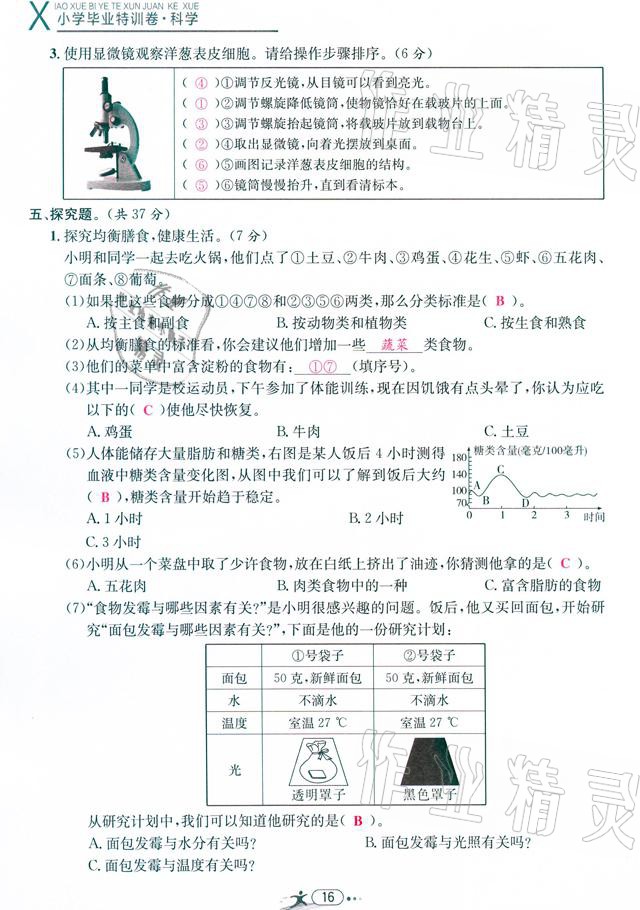 2021年小學(xué)畢業(yè)特訓(xùn)卷級(jí)科學(xué)溫州專版 參考答案第16頁