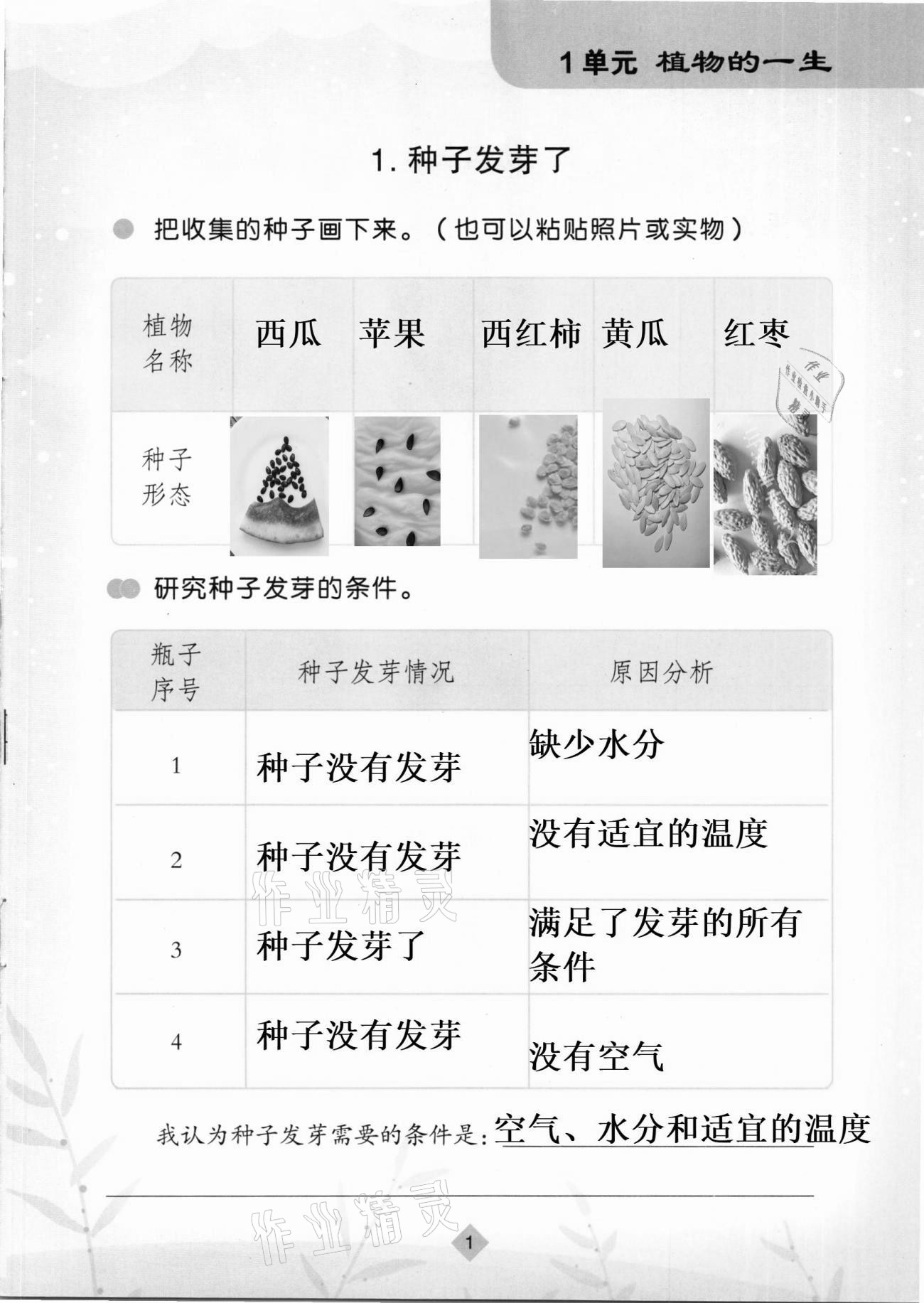 2021年學生活動手冊三年級科學下冊蘇教版 第1頁
