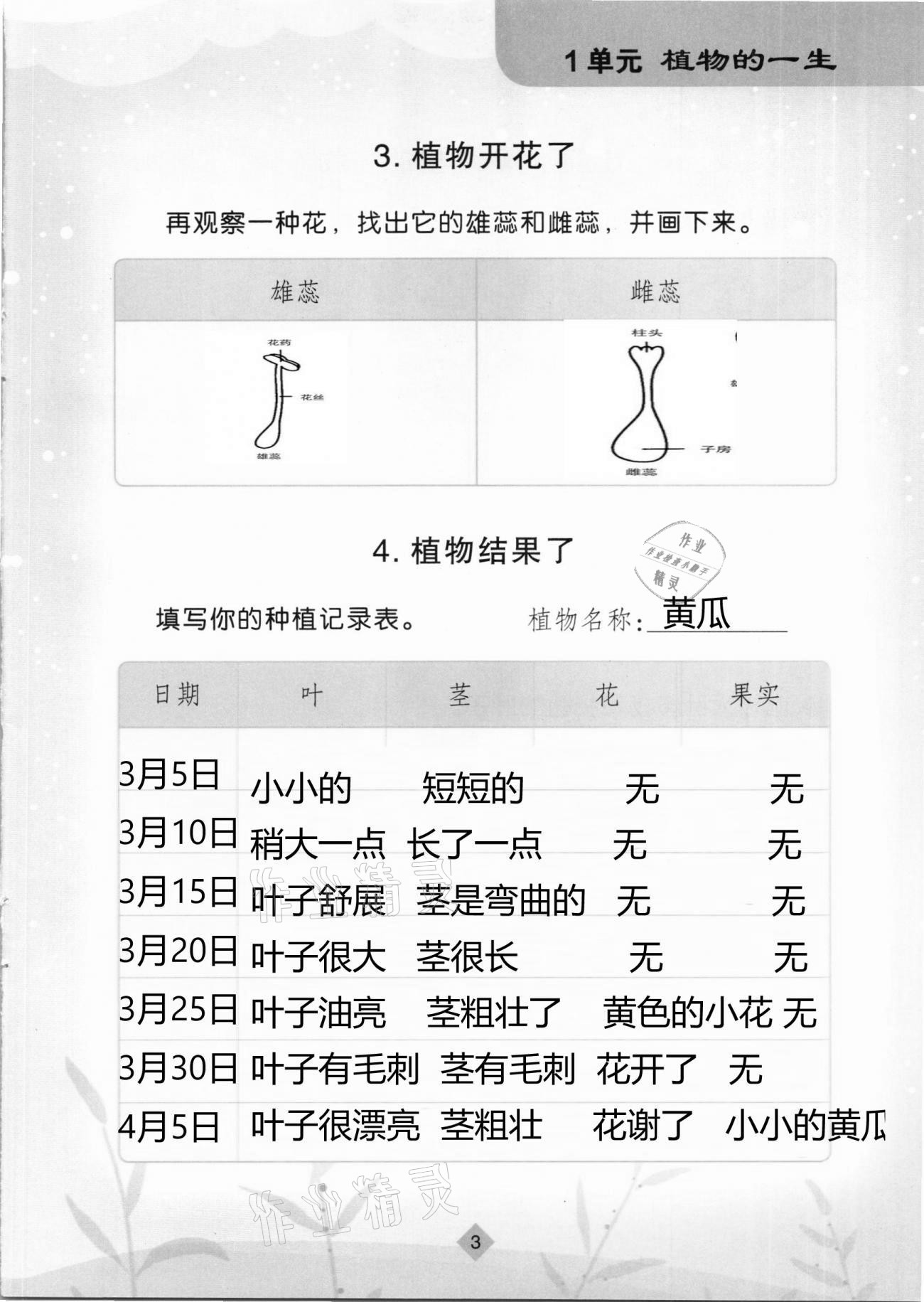 2021年學(xué)生活動(dòng)手冊(cè)三年級(jí)科學(xué)下冊(cè)蘇教版 第3頁(yè)
