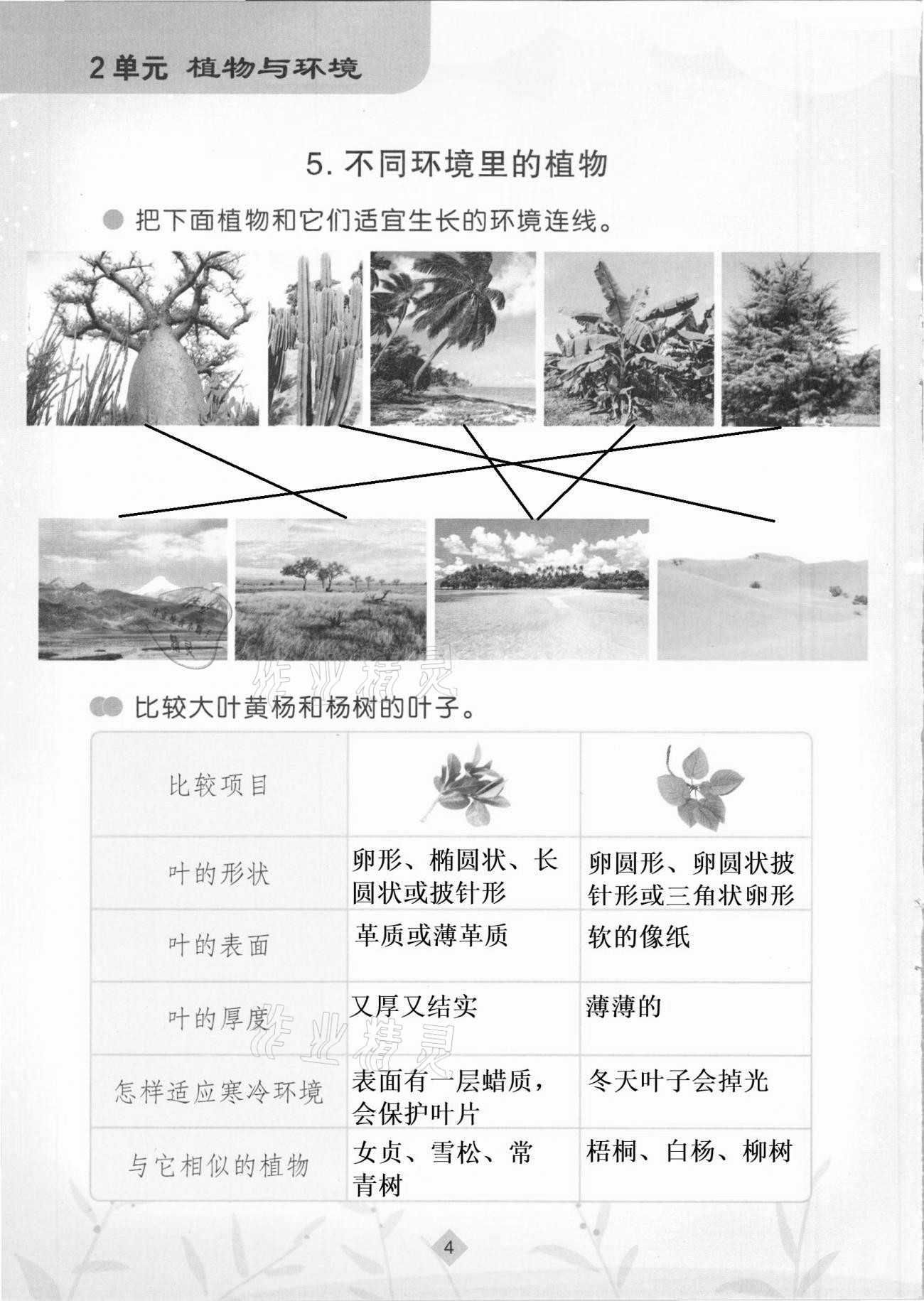 2021年學(xué)生活動(dòng)手冊三年級科學(xué)下冊蘇教版 第4頁