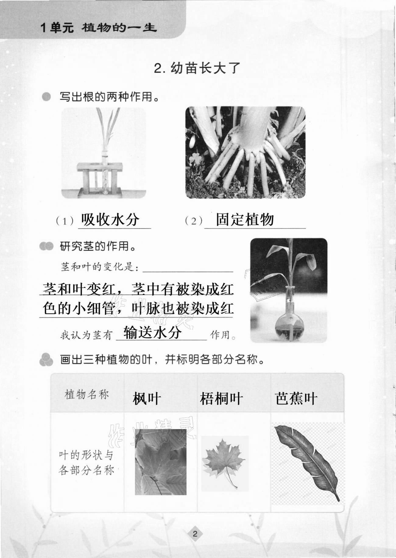 2021年學(xué)生活動(dòng)手冊(cè)三年級(jí)科學(xué)下冊(cè)蘇教版 第2頁