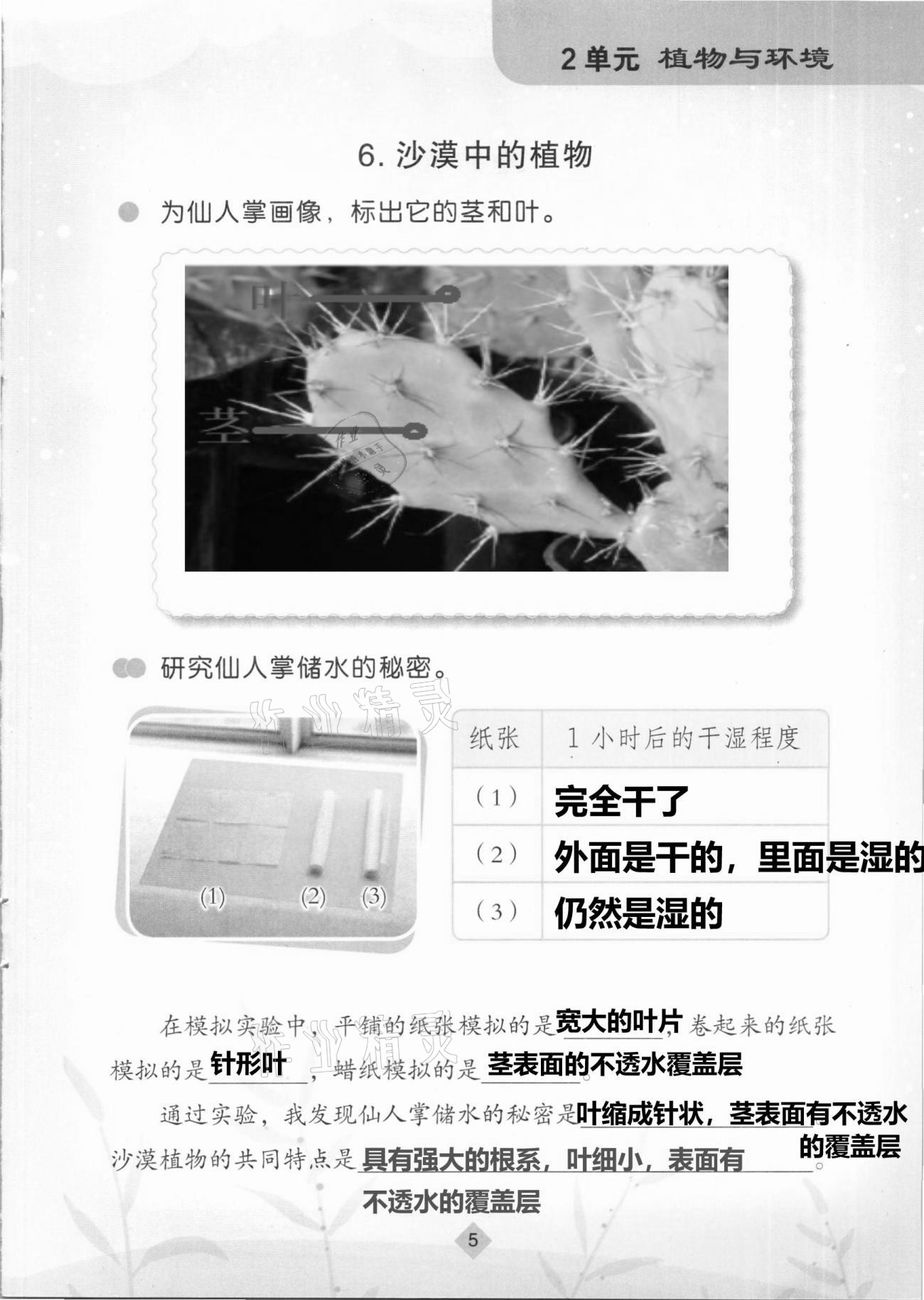 2021年學生活動手冊三年級科學下冊蘇教版 第5頁