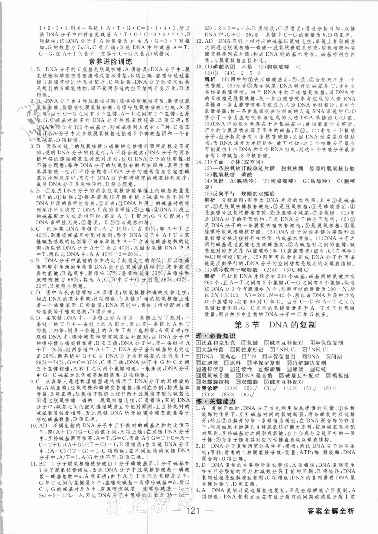 2021年綠色通道45分鐘課時作業(yè)與單元測評生物必修2人教版 參考答案第12頁