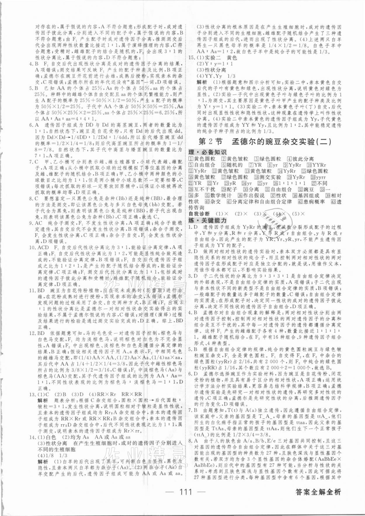 2021年綠色通道45分鐘課時作業(yè)與單元測評生物必修2人教版 參考答案第2頁