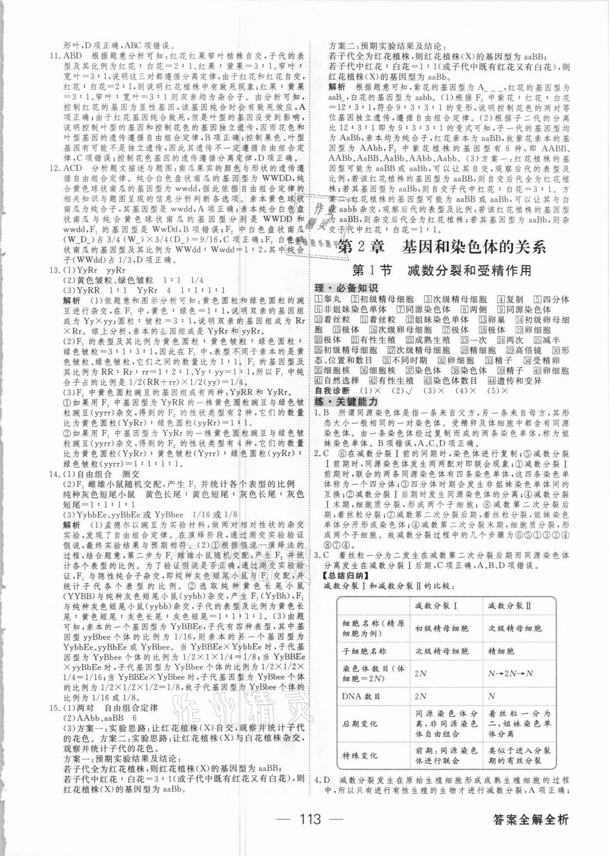 2021年綠色通道45分鐘課時作業(yè)與單元測評生物必修2人教版 參考答案第4頁