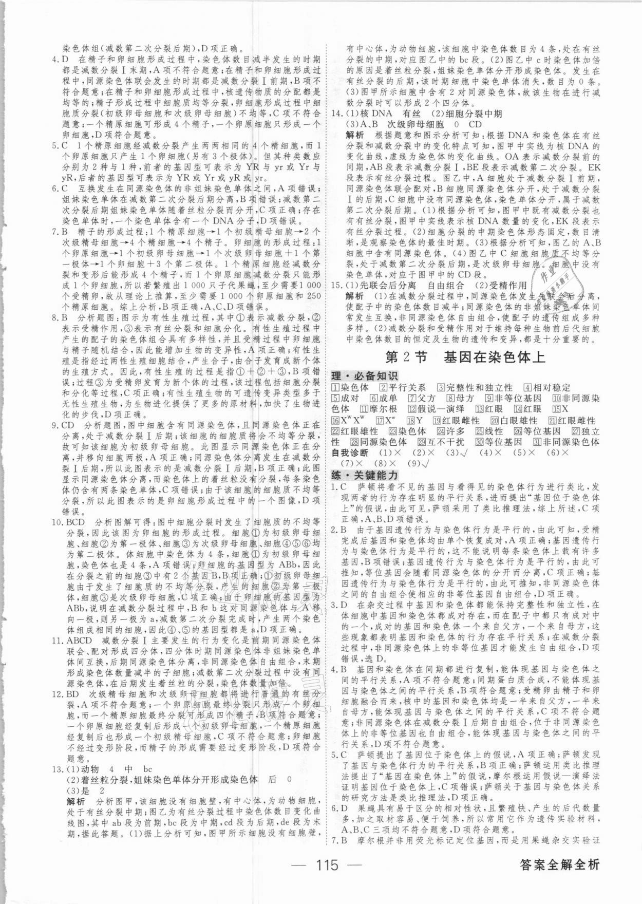 2021年綠色通道45分鐘課時作業(yè)與單元測評生物必修2人教版 參考答案第6頁