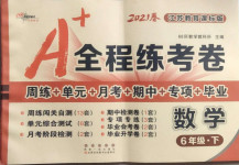 2021年A加全程練考卷六年級數(shù)學(xué)下冊蘇教版