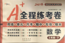 2021年A加全程練考卷三年級數學下冊蘇教版