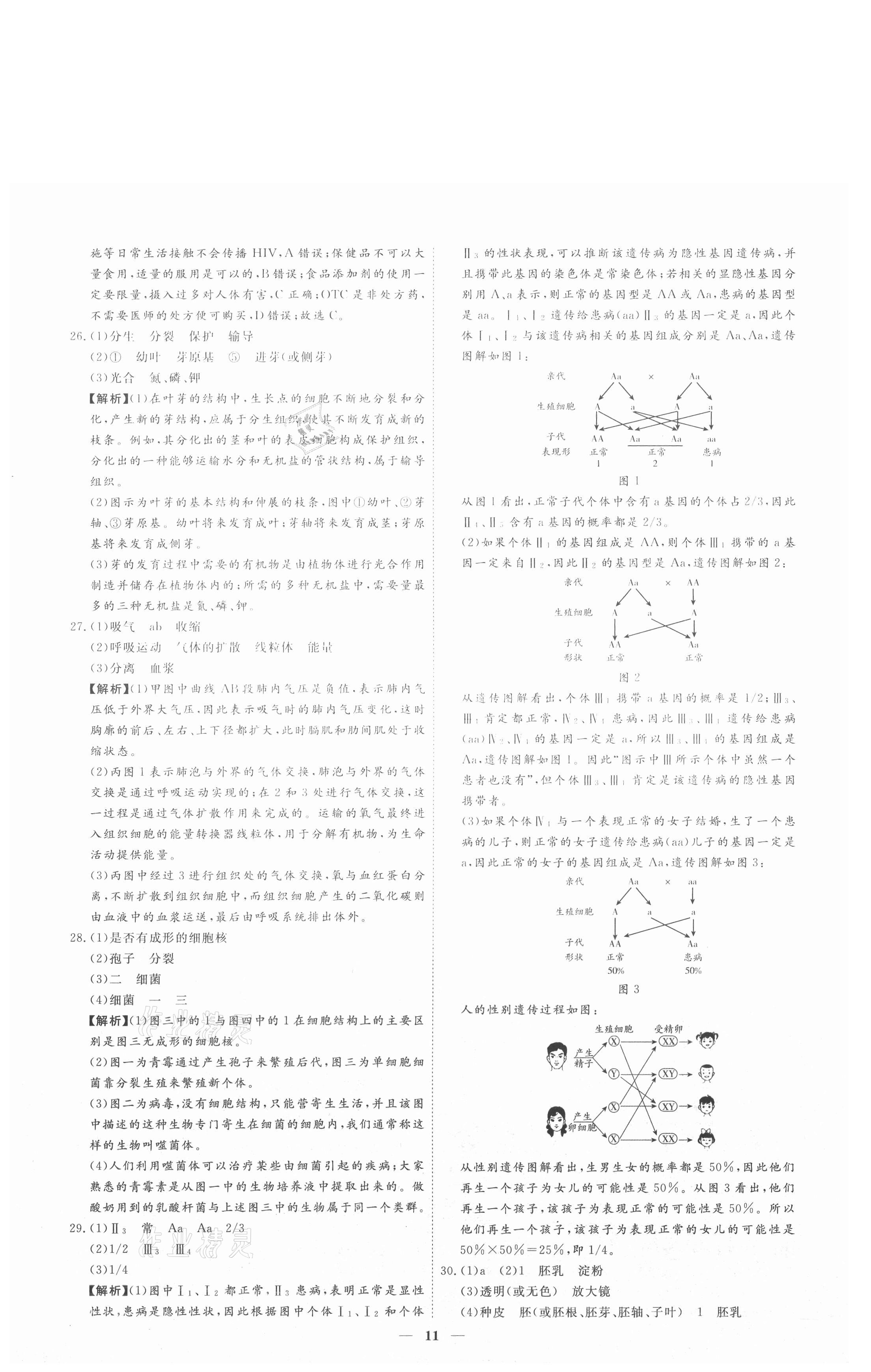 2021年3年真題2年模擬1年預(yù)測生物聊城專版 參考答案第11頁