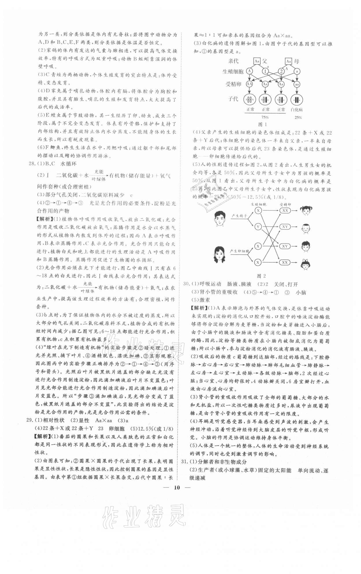 2021年3年真題2年模擬1年預(yù)測生物濟(jì)南專版 參考答案第10頁