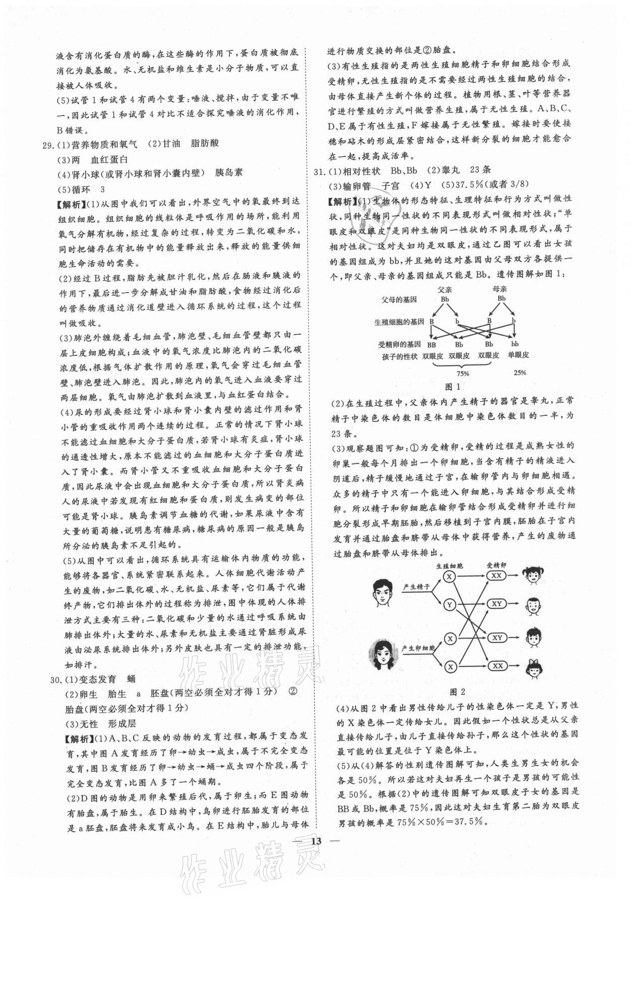 2021年3年真題2年模擬1年預(yù)測生物濟南專版 參考答案第13頁