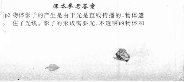2021年教材課本三年級科學下冊青島版 參考答案第1頁