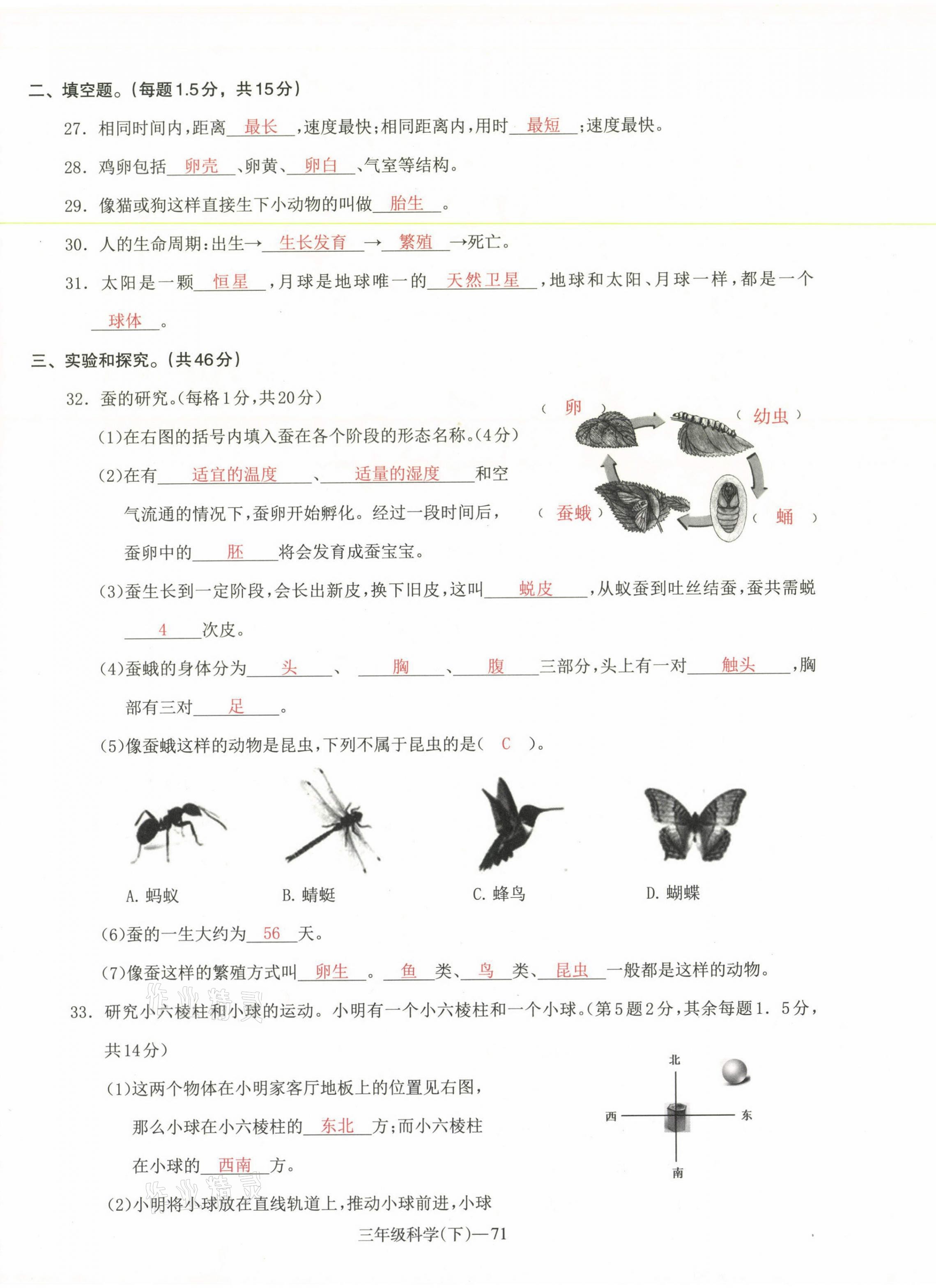 2021年小學(xué)期末加油站三年級(jí)科學(xué)下冊(cè)教科版 參考答案第6頁(yè)