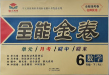 2021年智優(yōu)教輔全能金卷六年級數(shù)學(xué)下冊人教版