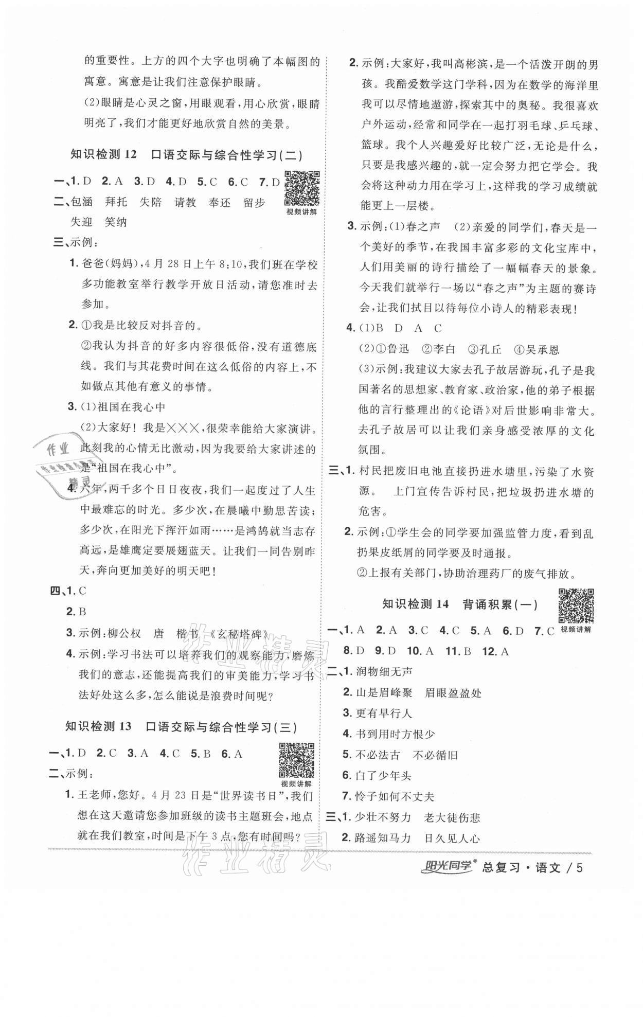 2021年阳光同学浙江省小学毕业升学系统总复习语文 第5页